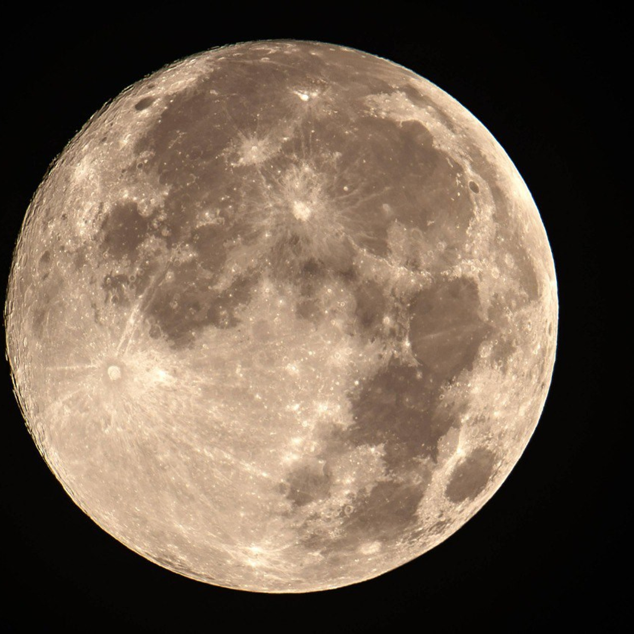 Ваши отзывы. Фотограф Виктория Чокадзе