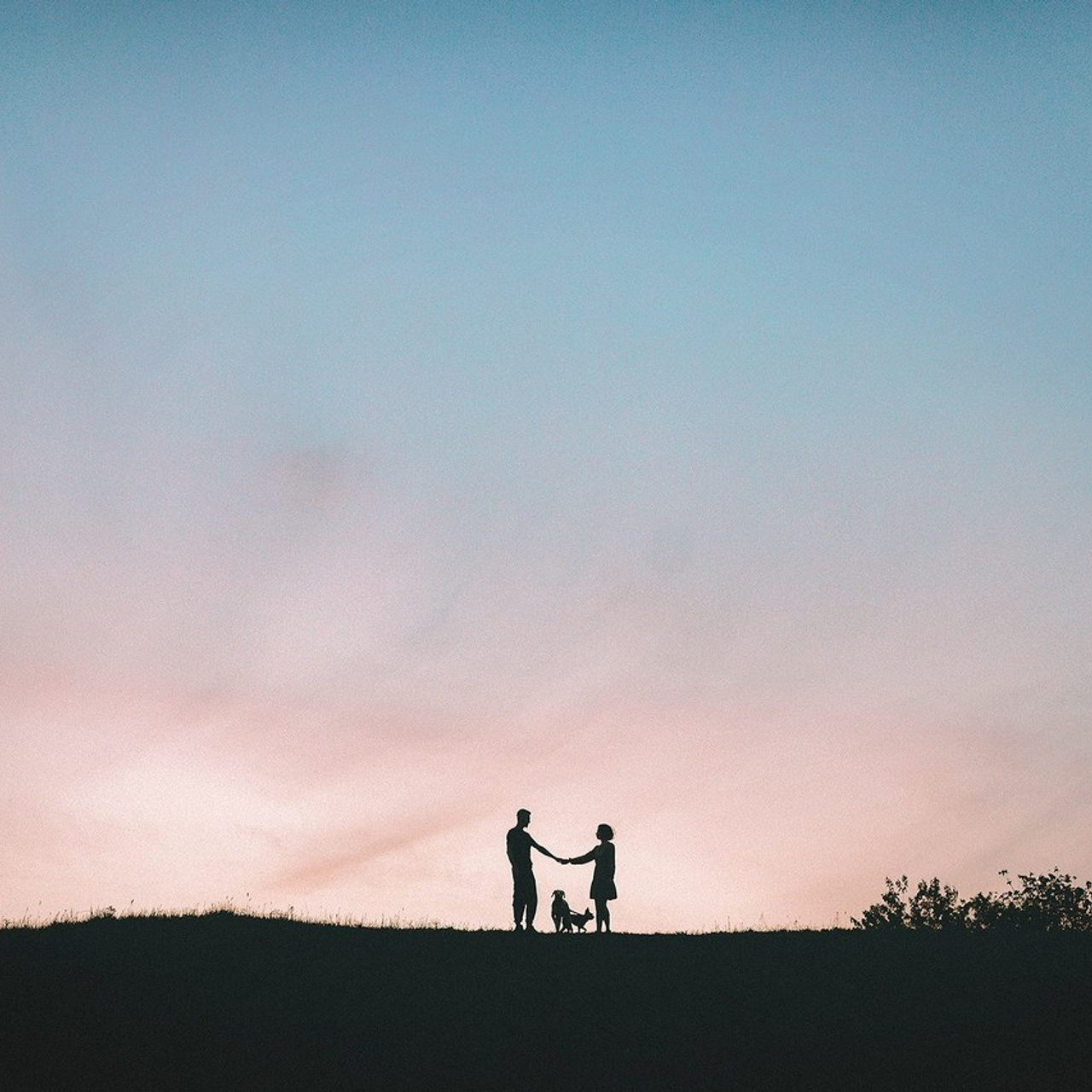 Отзывы. Фотограф-анималист • love-story • Санкт-Петербург