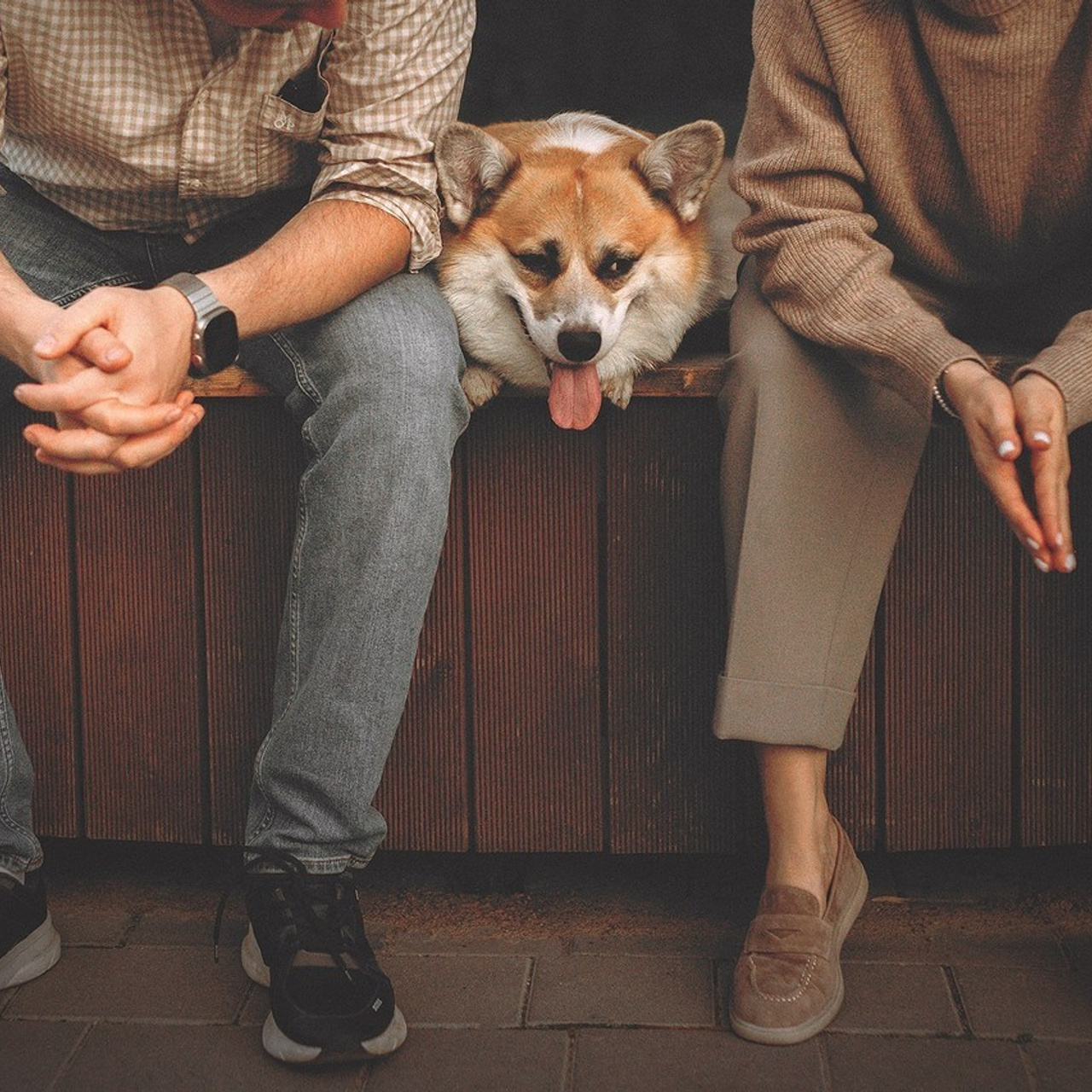 Отзывы. Фотограф-анималист • love-story • Санкт-Петербург