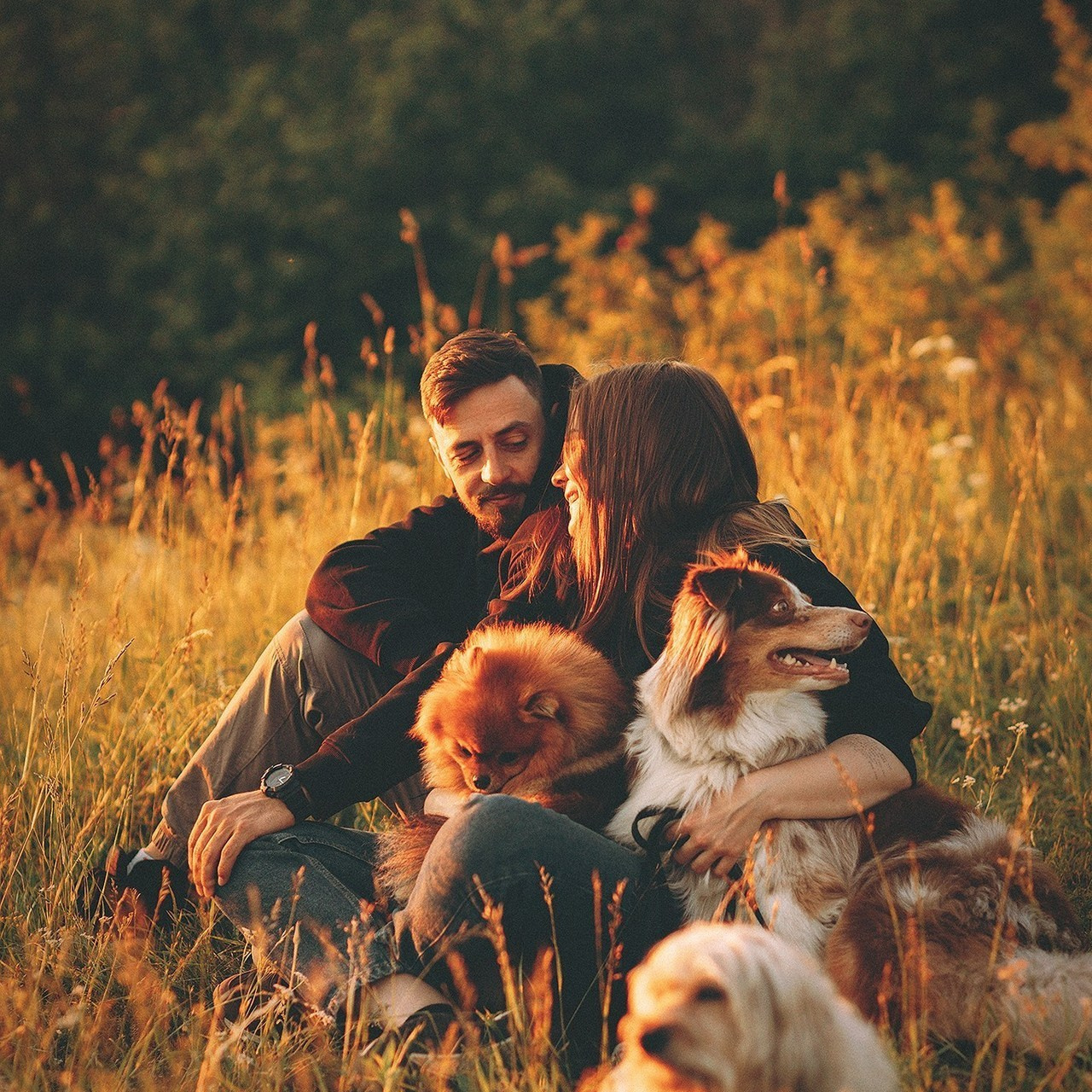 Отзывы. Фотограф-анималист • love-story • Санкт-Петербург