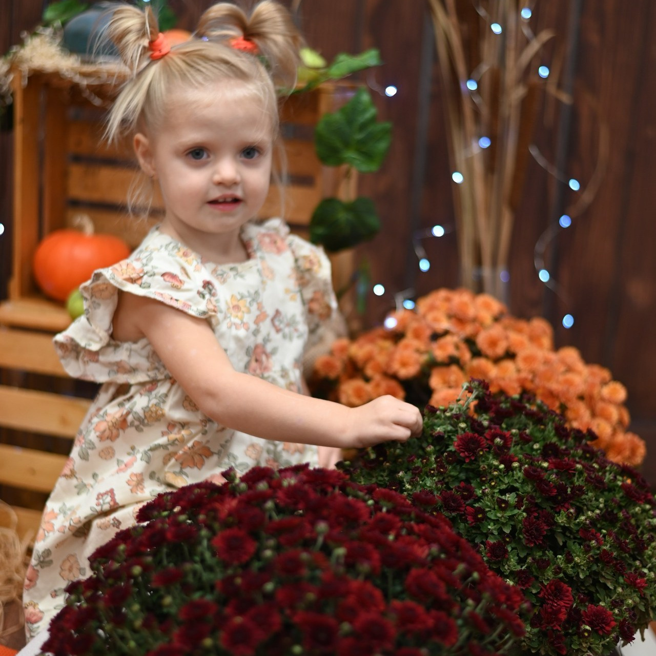 Отзывы. Детский и семейный фотограф Анастасия Сердюк Крым