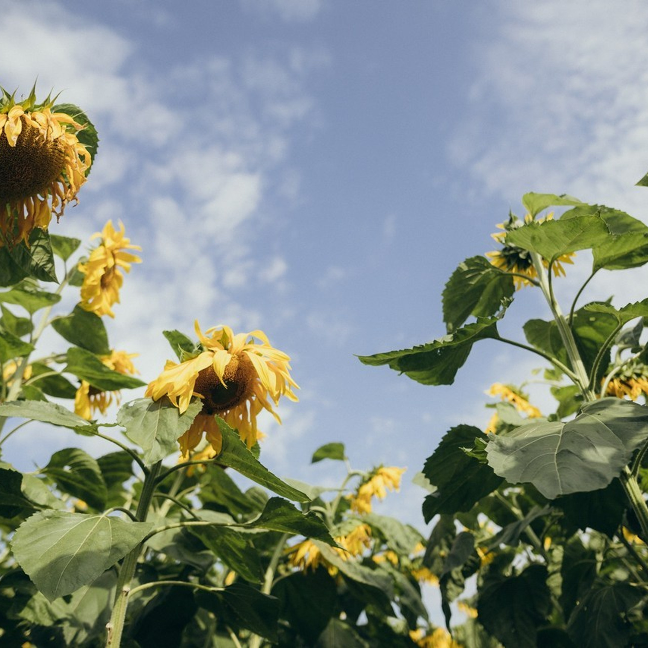 Отзывы. Свадебный, репортажный фотограф в Тюмени Сергей Тапилин