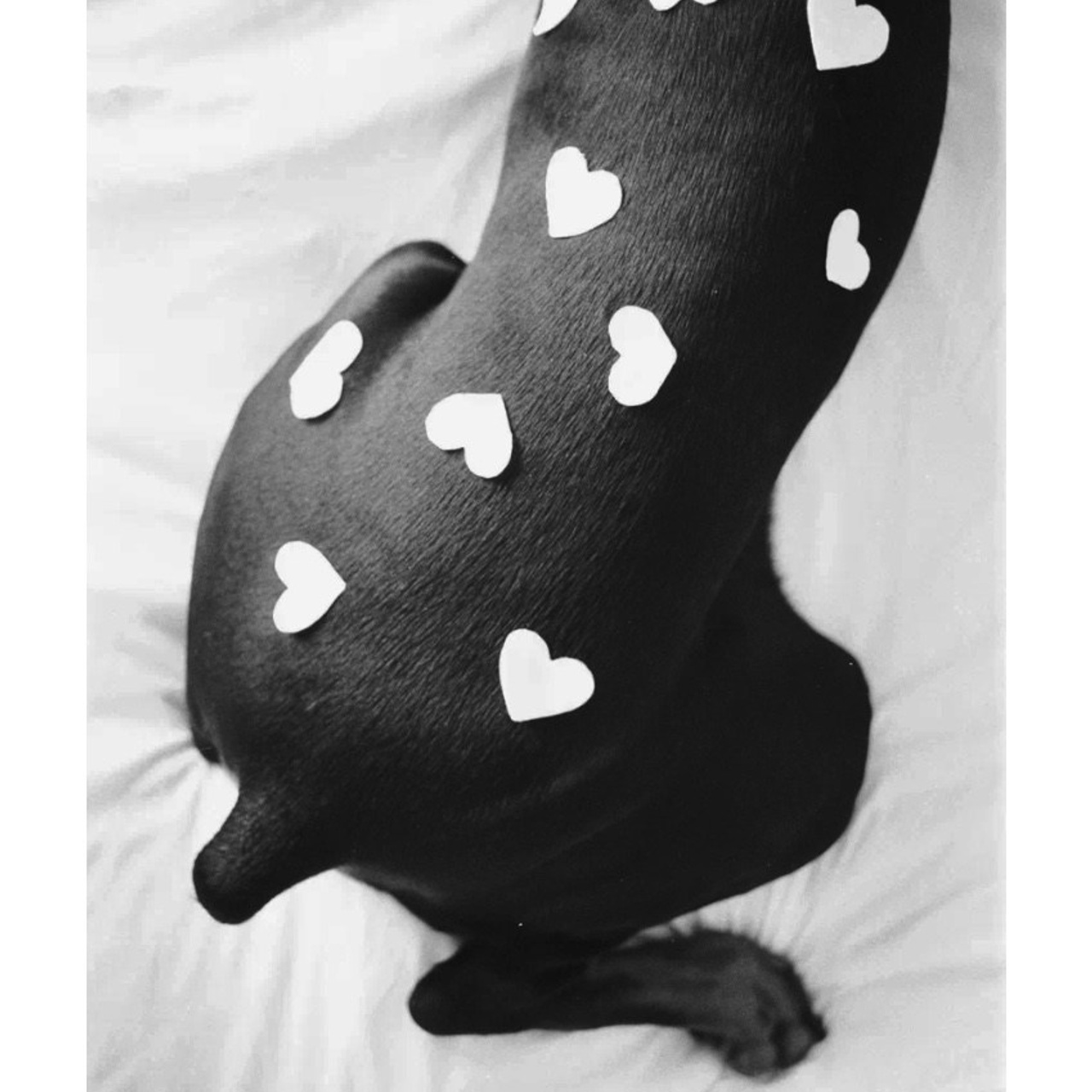 Valentine’s Day (35мм)