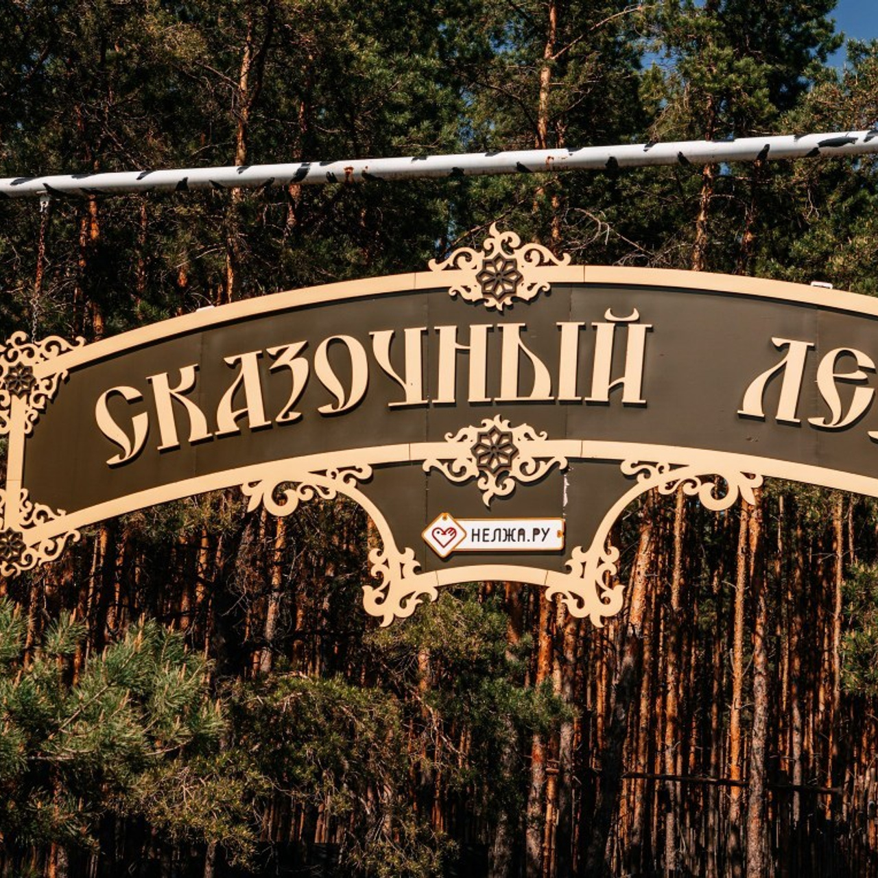 Отзывы. Свадебный и семейный фотограф в Воронеже Катя Фишка