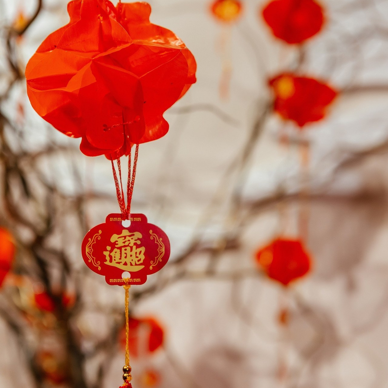 Отзывы. Свадебный и семейный фотограф в Воронеже Катя Фишка