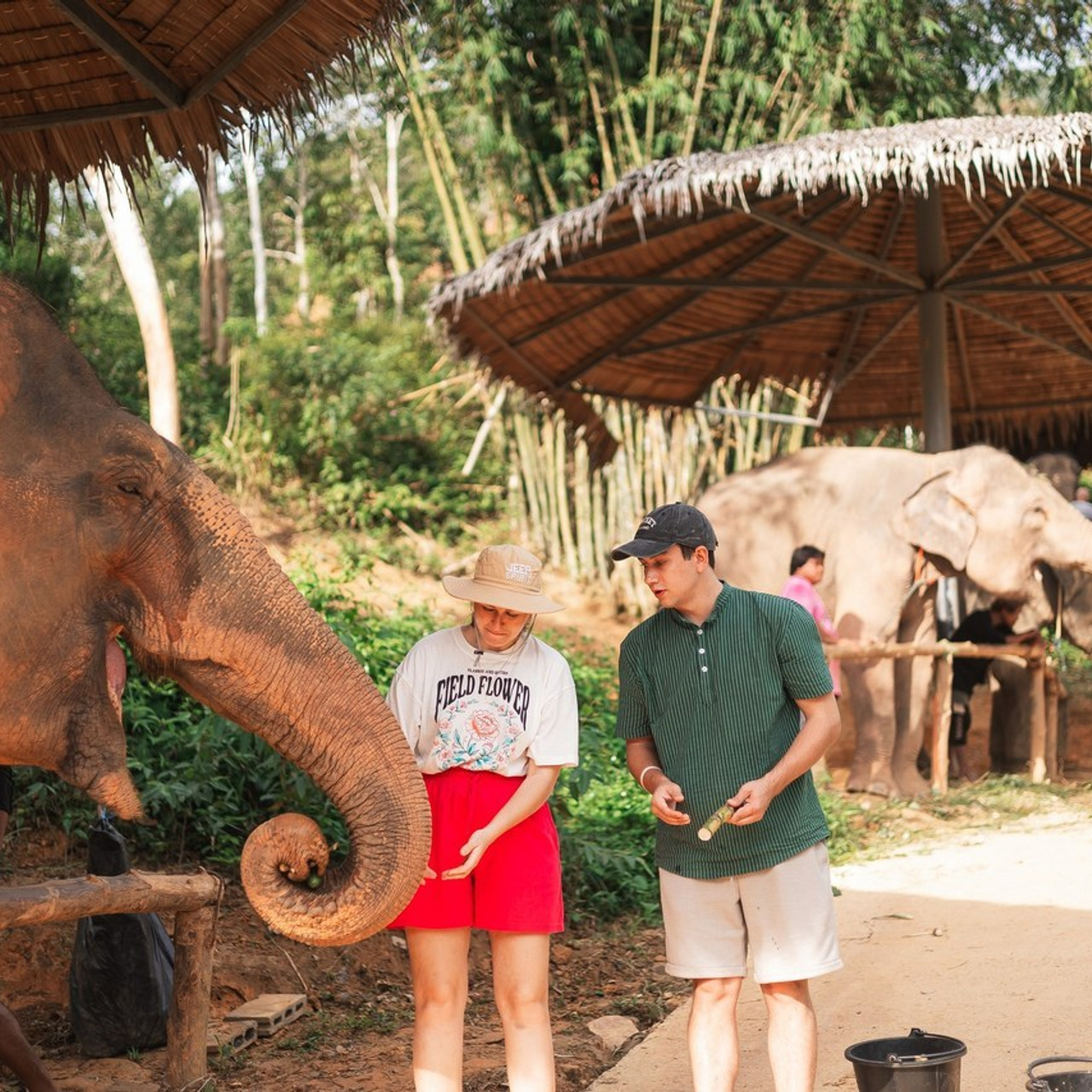 Отзывы. Свадебный и портретный фотограф в Красноярске Алина Семенихина