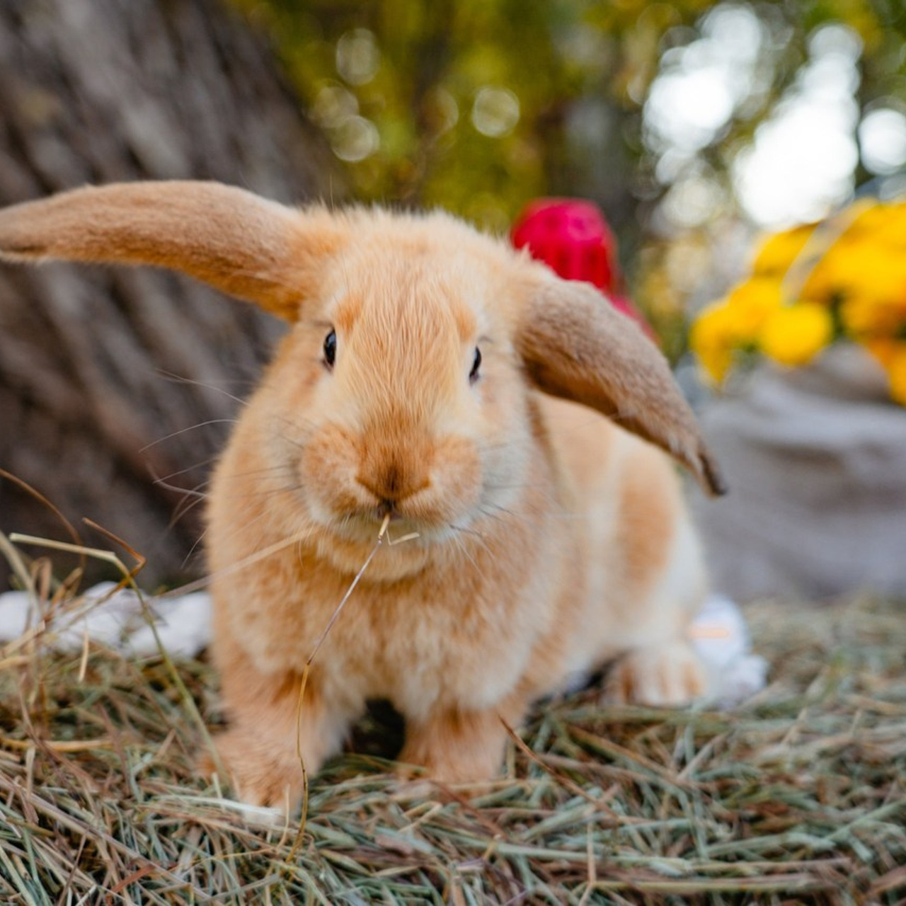 Отзывы. Сайт временно находится на реконструкции