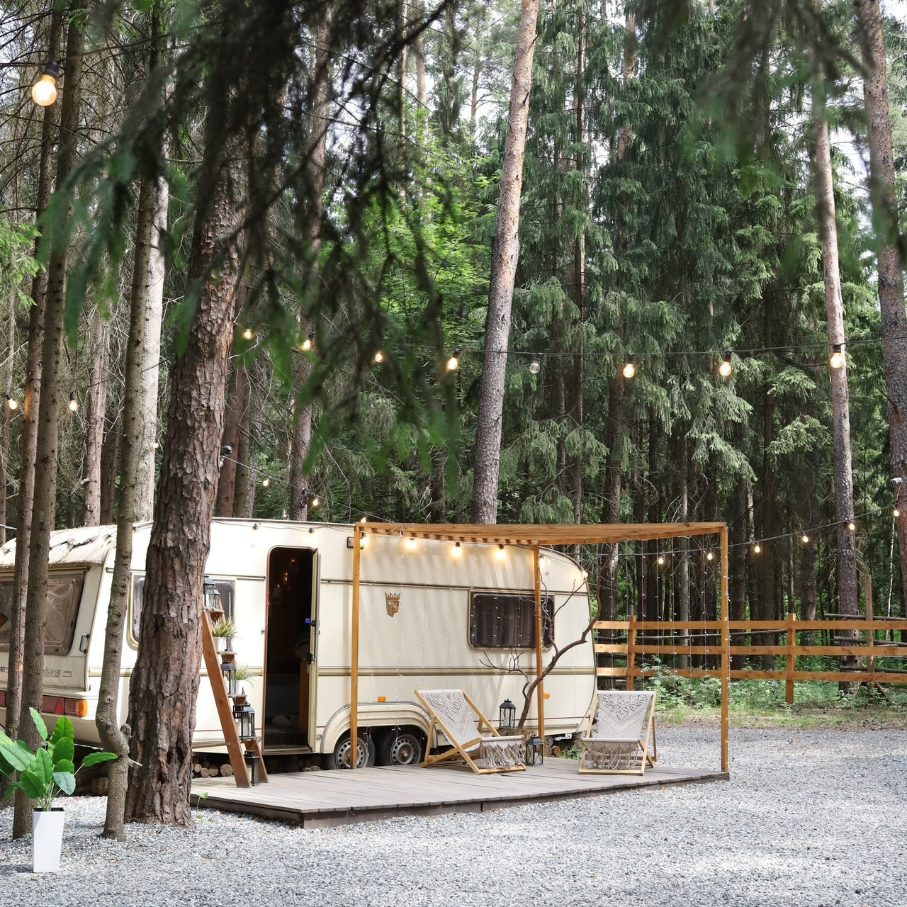 Отзывы. Светлана Шайгаскарова| фотограф в Перми