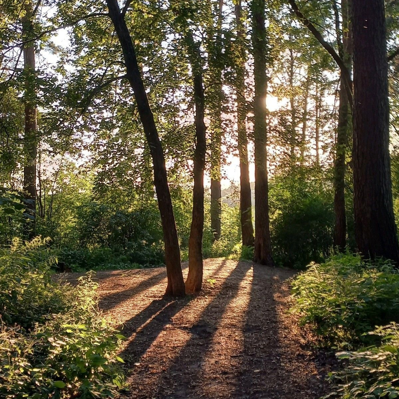 Отзывы. Главная