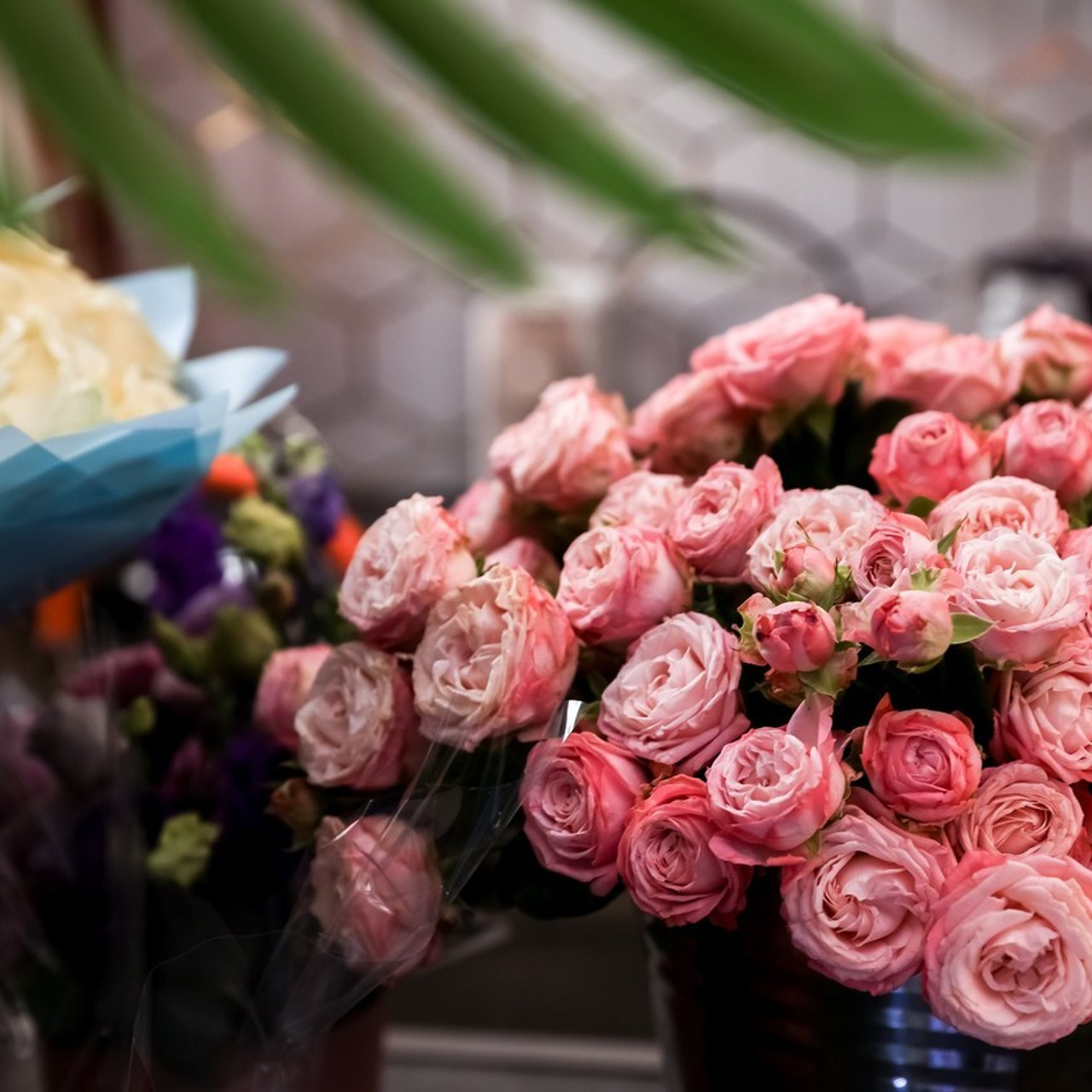 Отзывы. Photographer Viktoriya Markushina «My world throug»