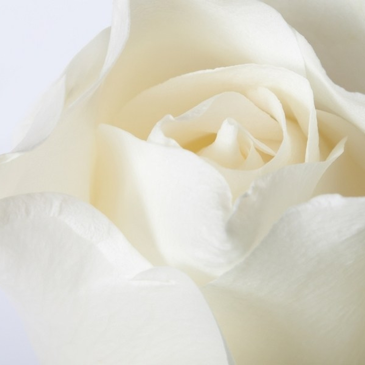 Отзывы. Фотограф в Твери Helga J. Fox