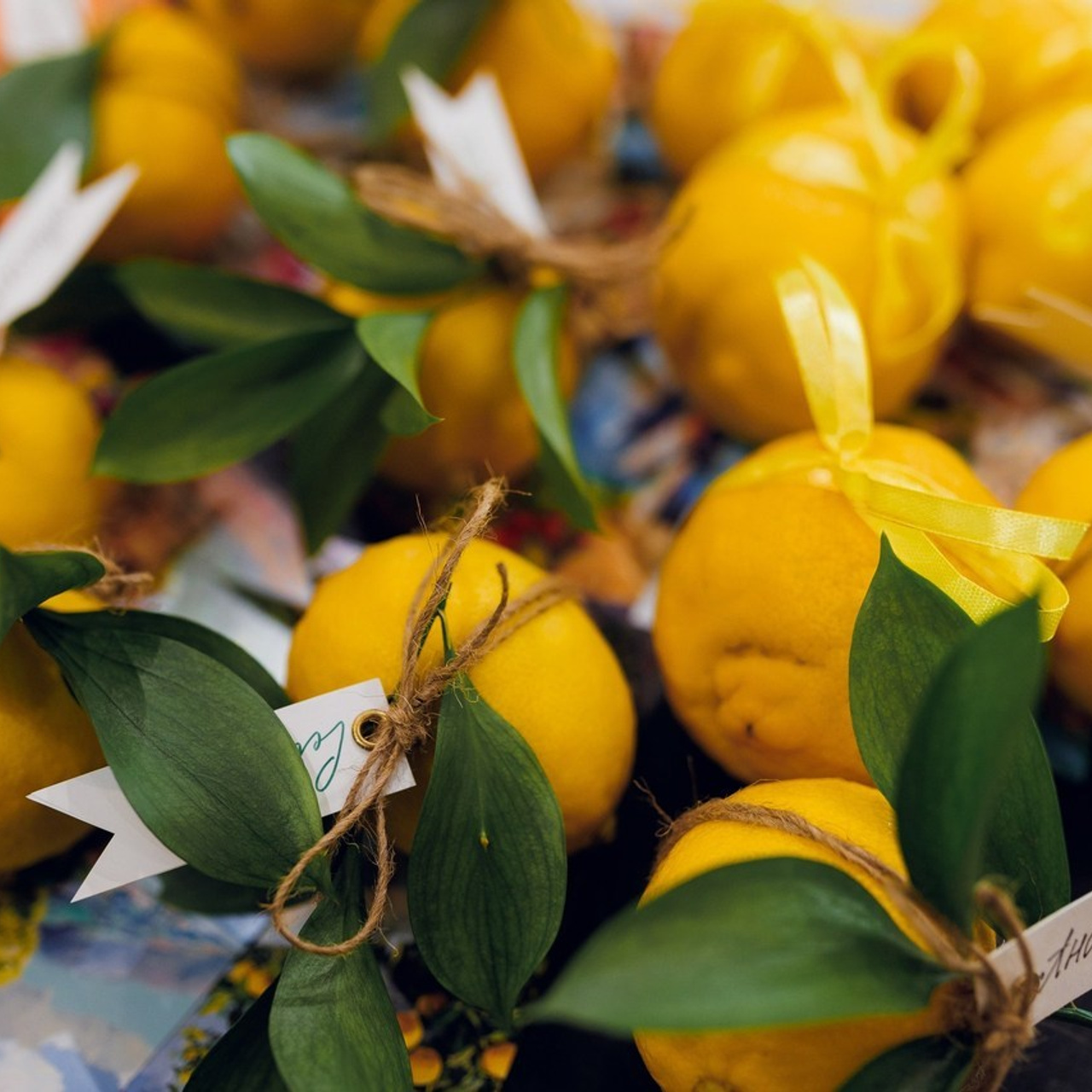 Отзывы. Фотограф Валерий Чернявский