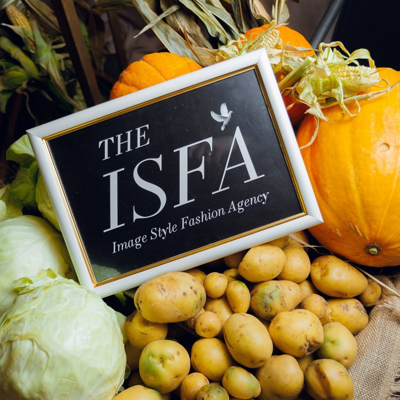 Отзывы. Фотограф Валерий Чернявский