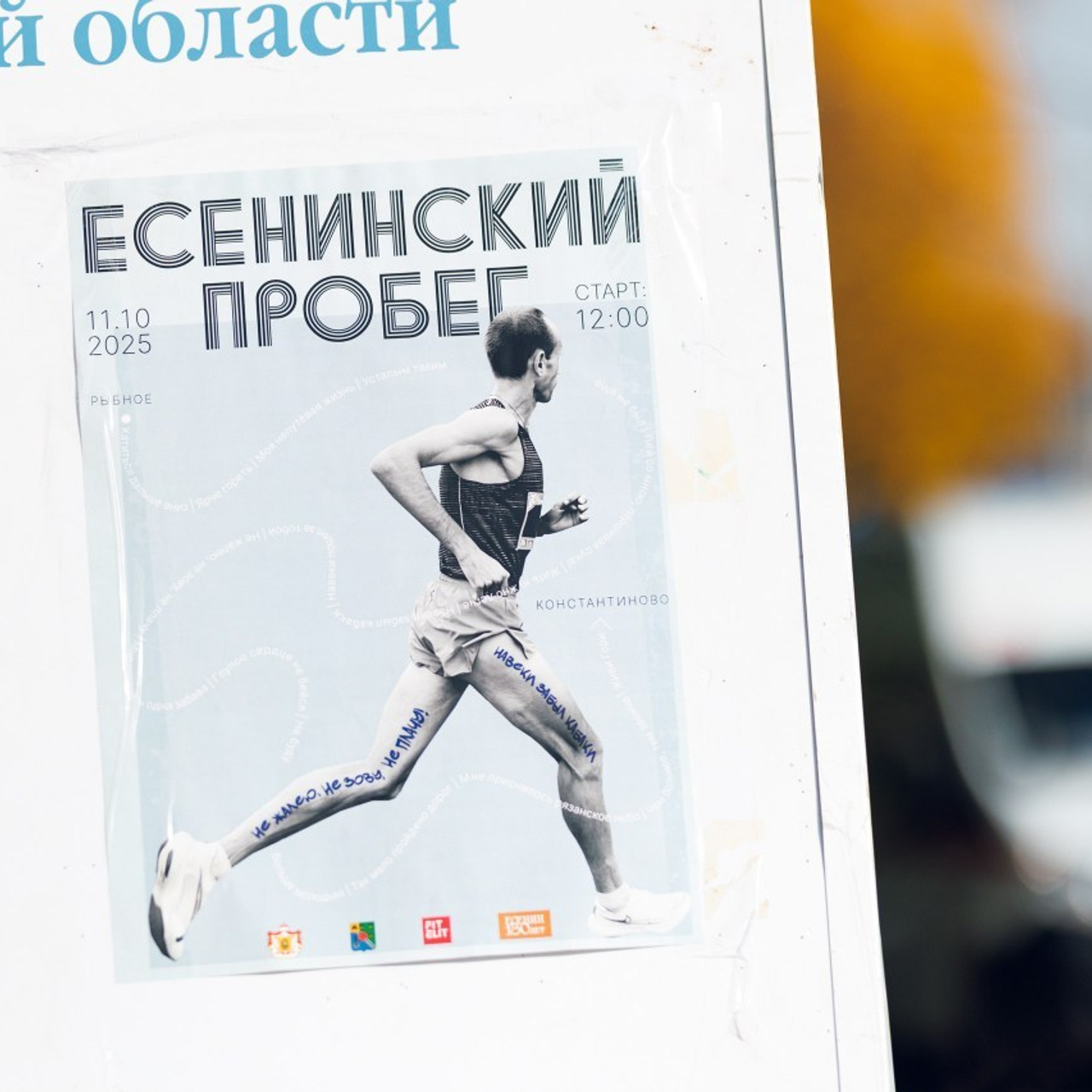 Отзывы. Фотограф Светлана Дмитриева