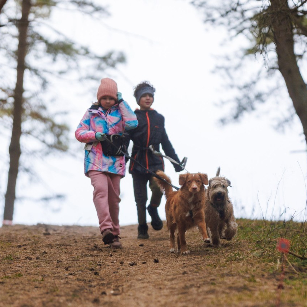 Отзывы. Фотограф Светлана Дмитриева