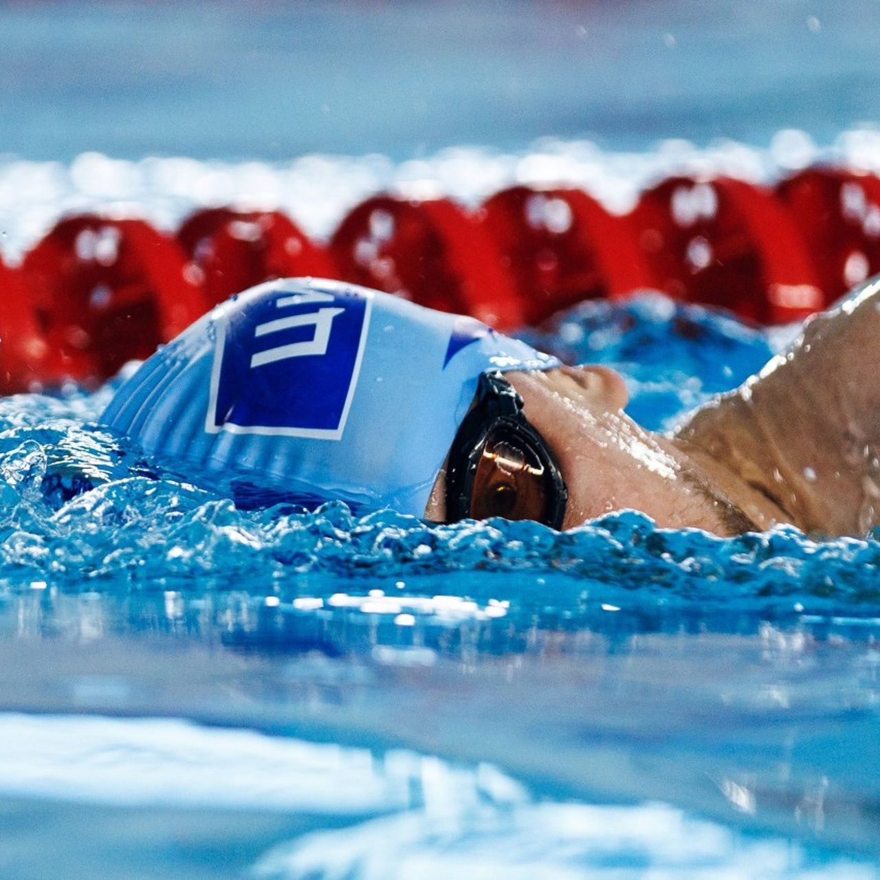 Отзывы. Фотограф Светлана Дмитриева