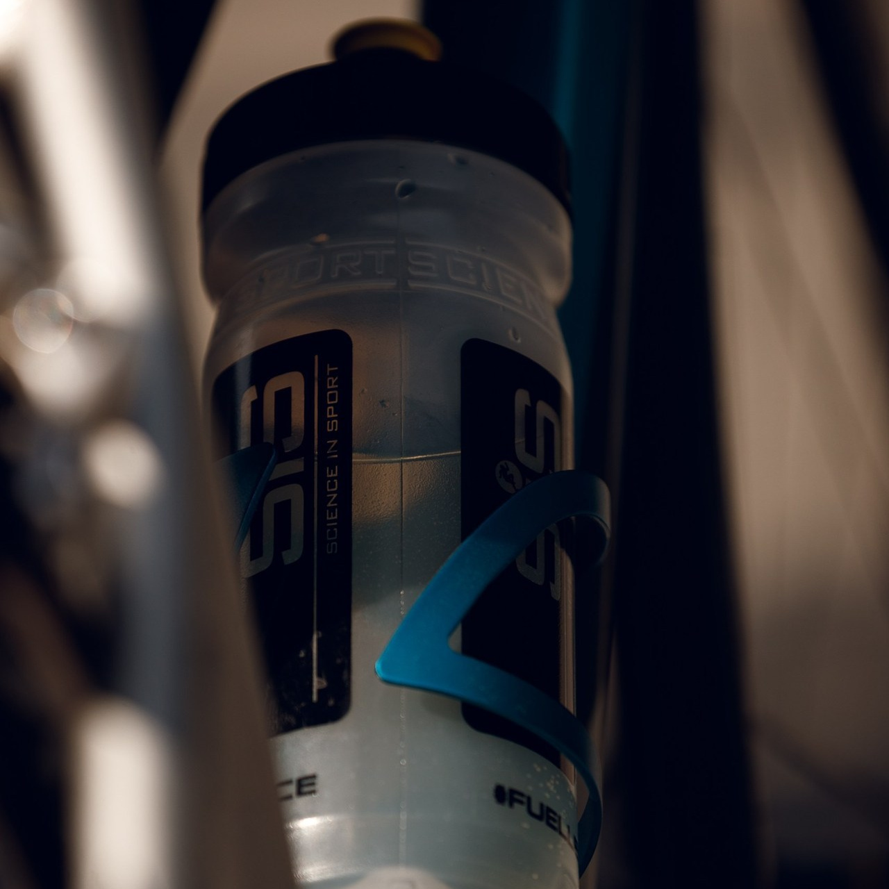 Отзывы. Фотограф Светлана Дмитриева