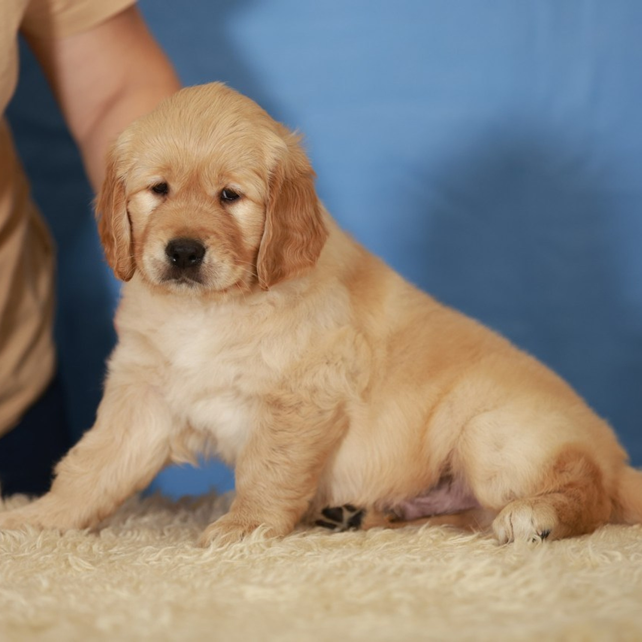 Отзывы. Семейный и детский фотограф в Москве Мария Быкова