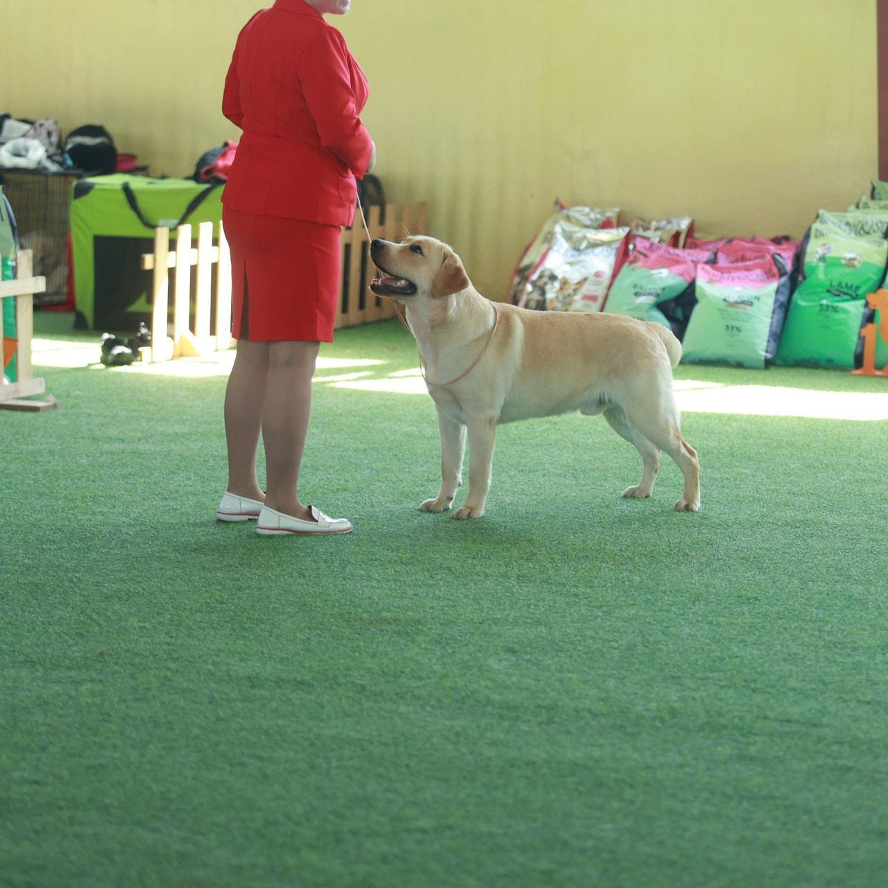 Отзывы. Семейный и детский фотограф в Москве Мария Быкова