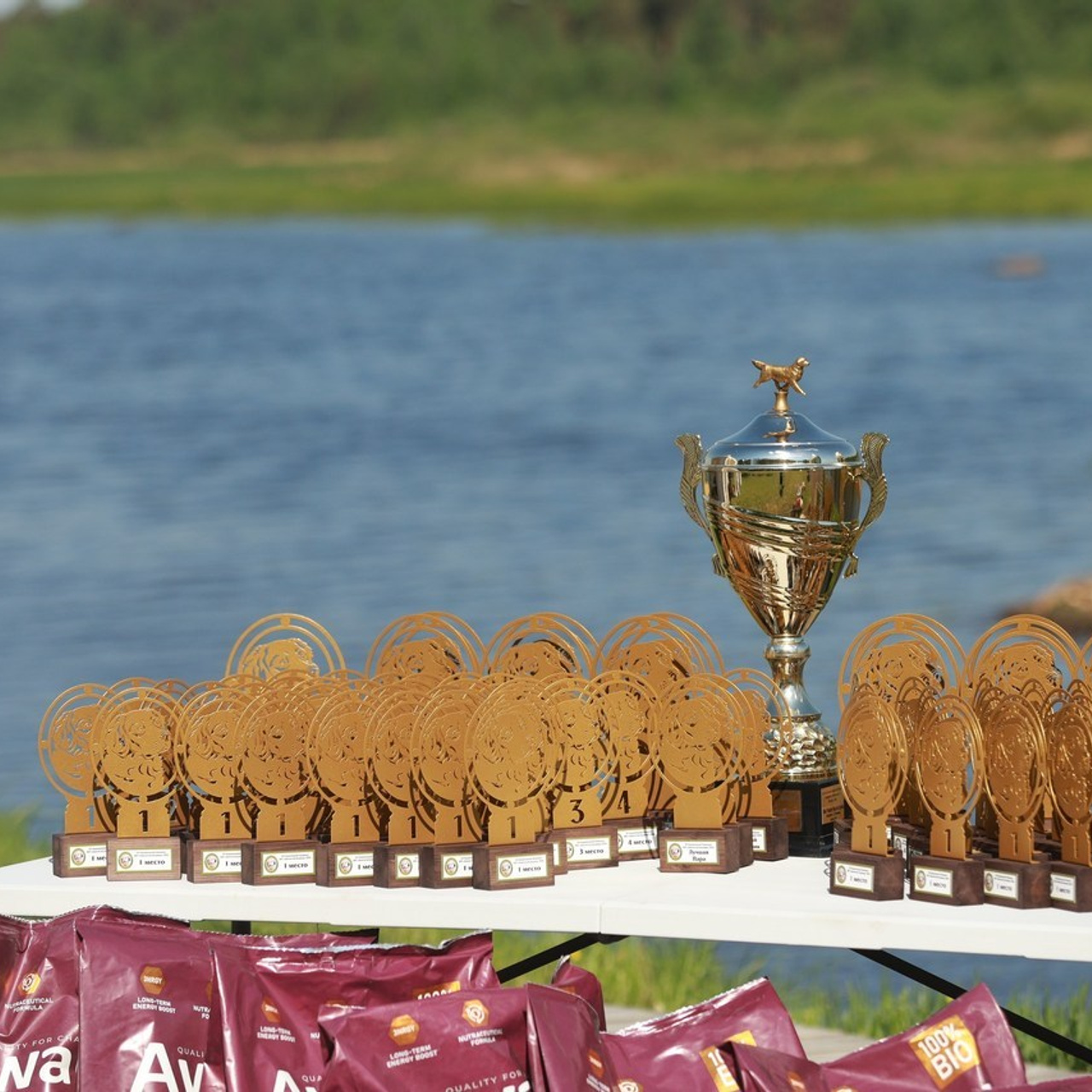 Отзывы. Семейный и детский фотограф в Москве Мария Быкова