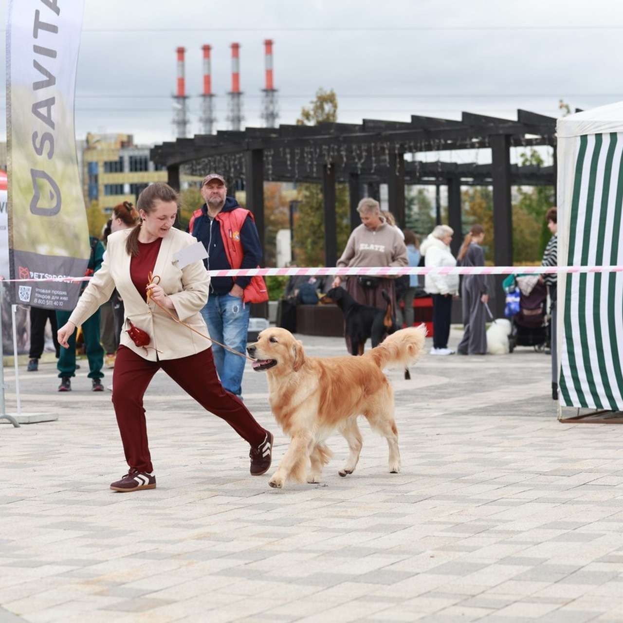 Отзывы. Семейный и детский фотограф в Москве Мария Быкова