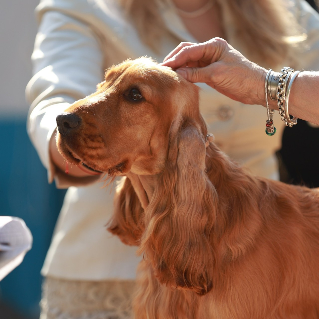 Отзывы. Семейный и детский фотограф в Москве Мария Быкова