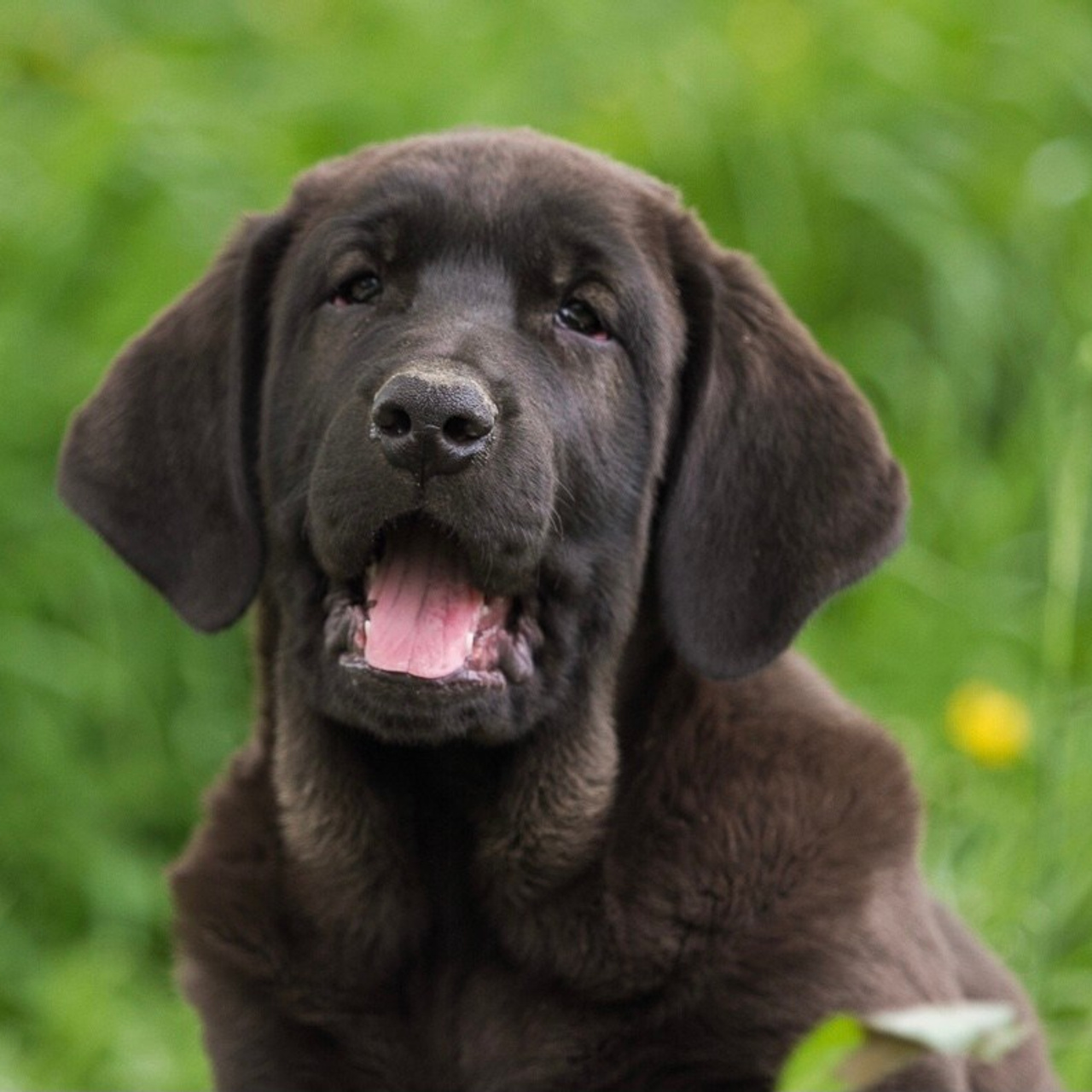 Отзывы. Семейный и детский фотограф в Москве Мария Быкова