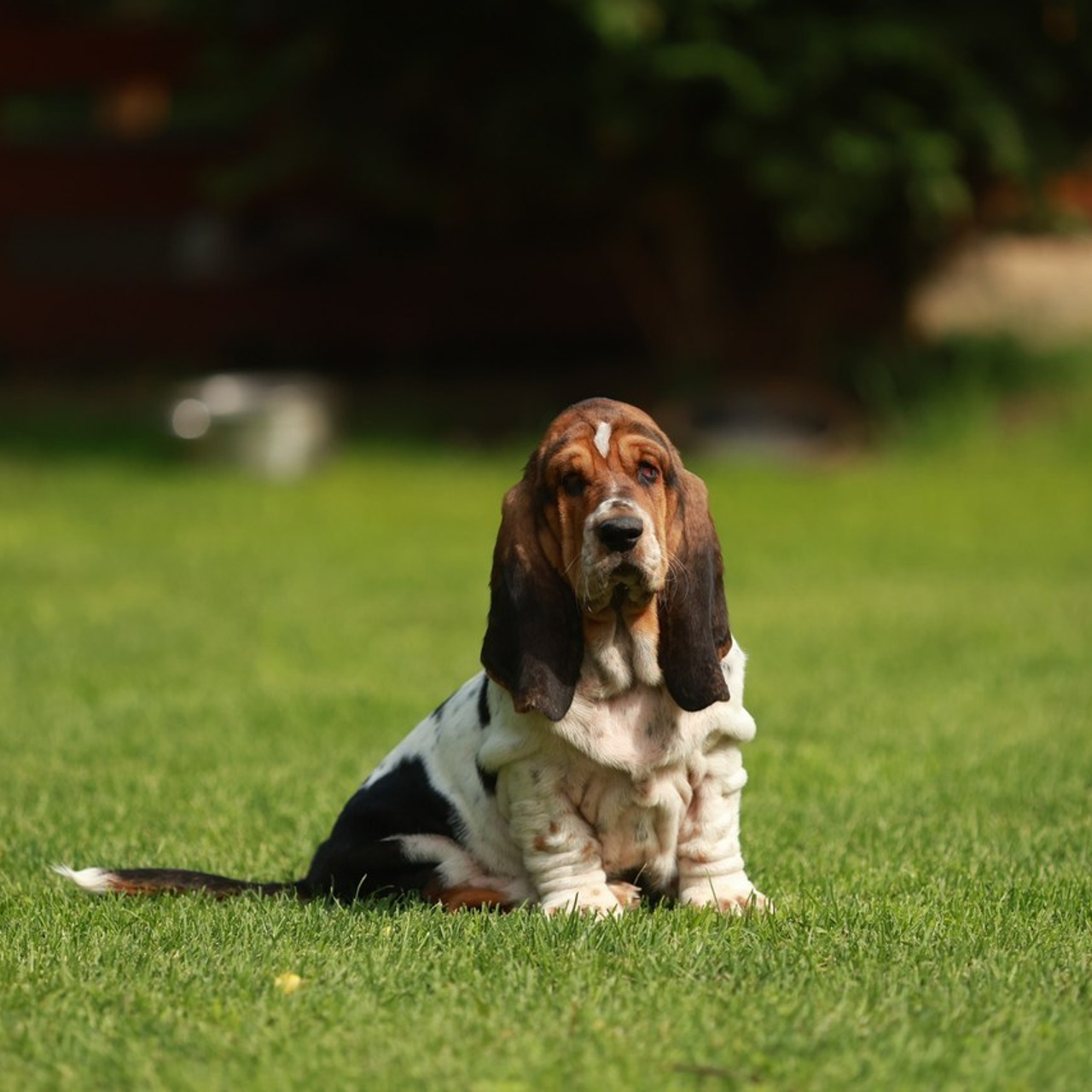 Отзывы. Семейный и детский фотограф в Москве Мария Быкова
