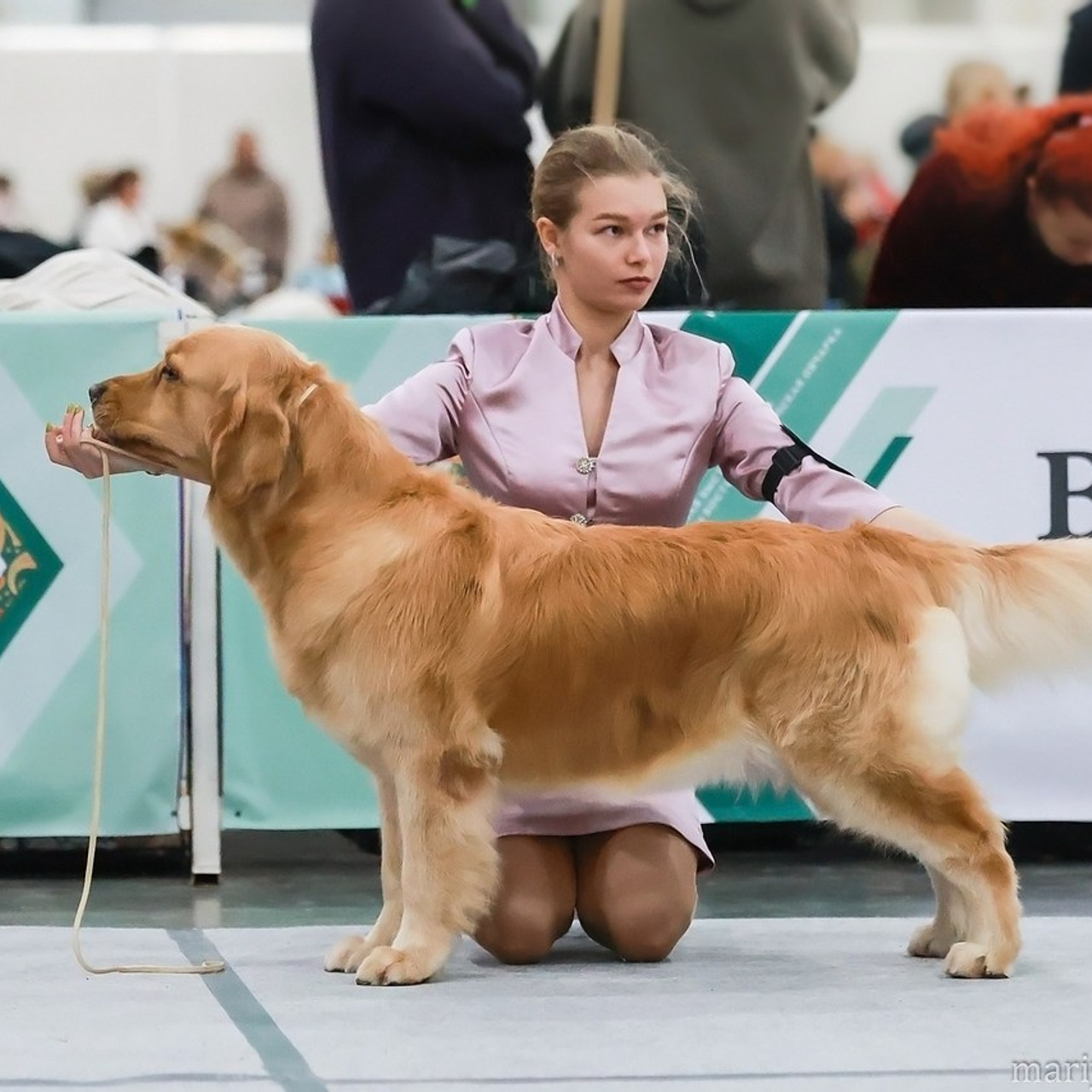 Отзывы. Семейный и детский фотограф в Москве Мария Быкова