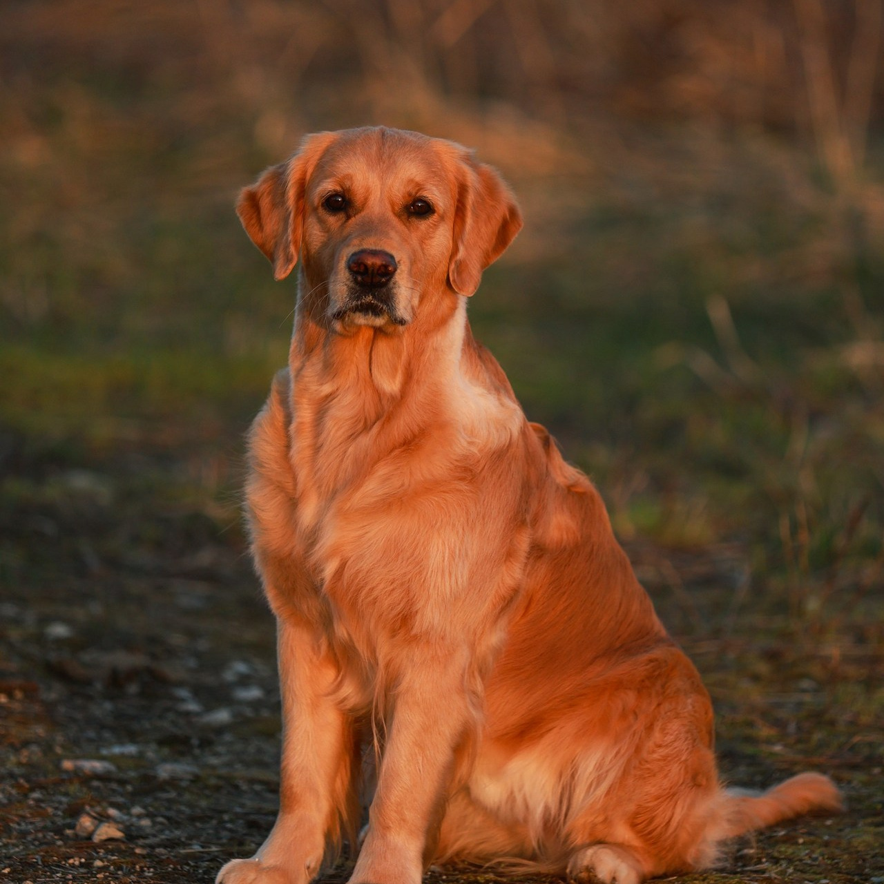 Отзывы. Семейный и детский фотограф в Москве Мария Быкова
