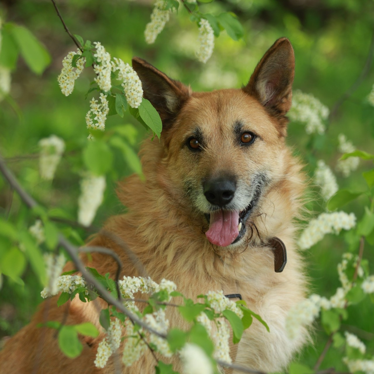Отзывы. Семейный и детский фотограф в Москве Мария Быкова