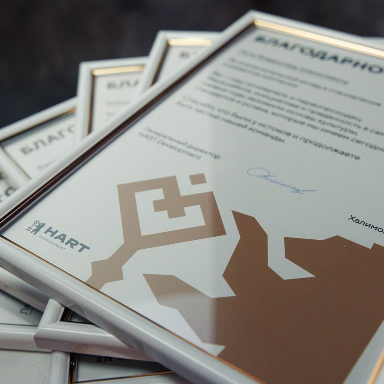 Отзывы. Репортажный и свадебный фотограф в Уфе Павел Кожевников