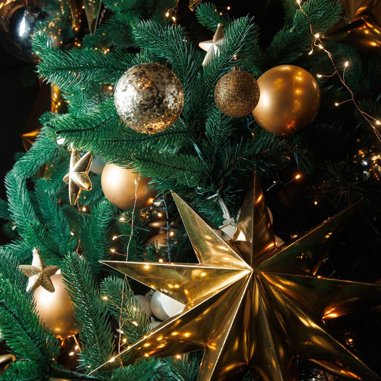 Отзывы. Репортажный и свадебный фотограф в Уфе Павел Кожевников