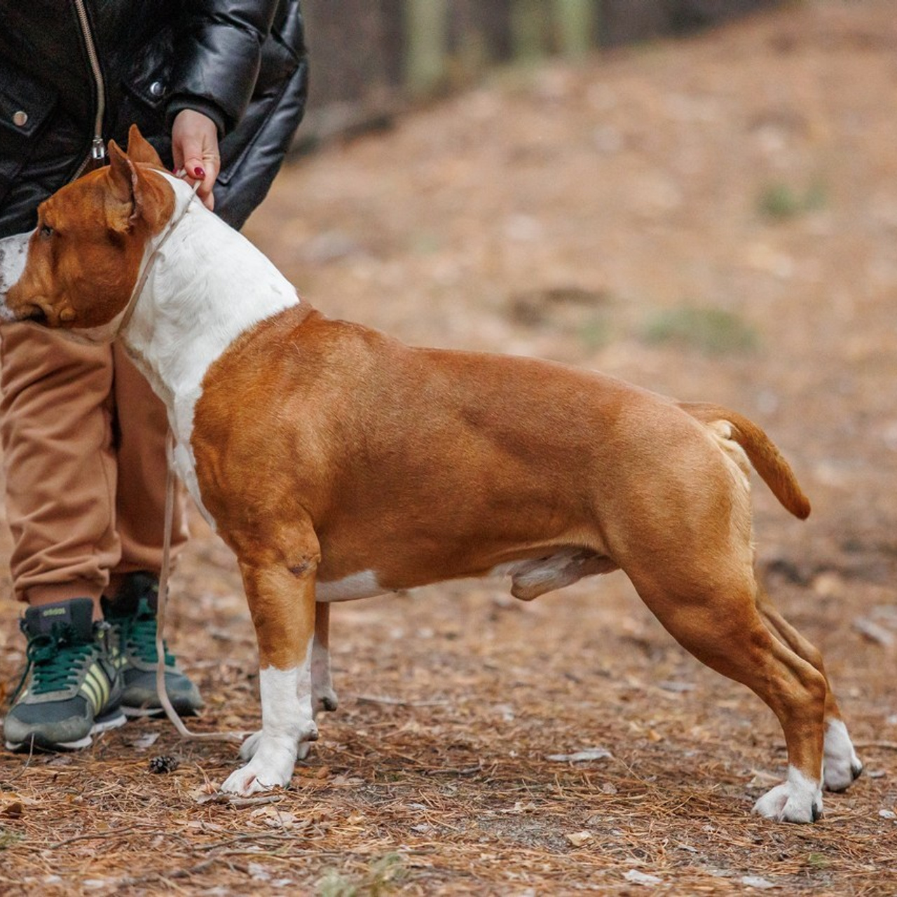 Отзывы. Детский фотограф и фотограф новорожденных в Воронеже Наташа Алехина
