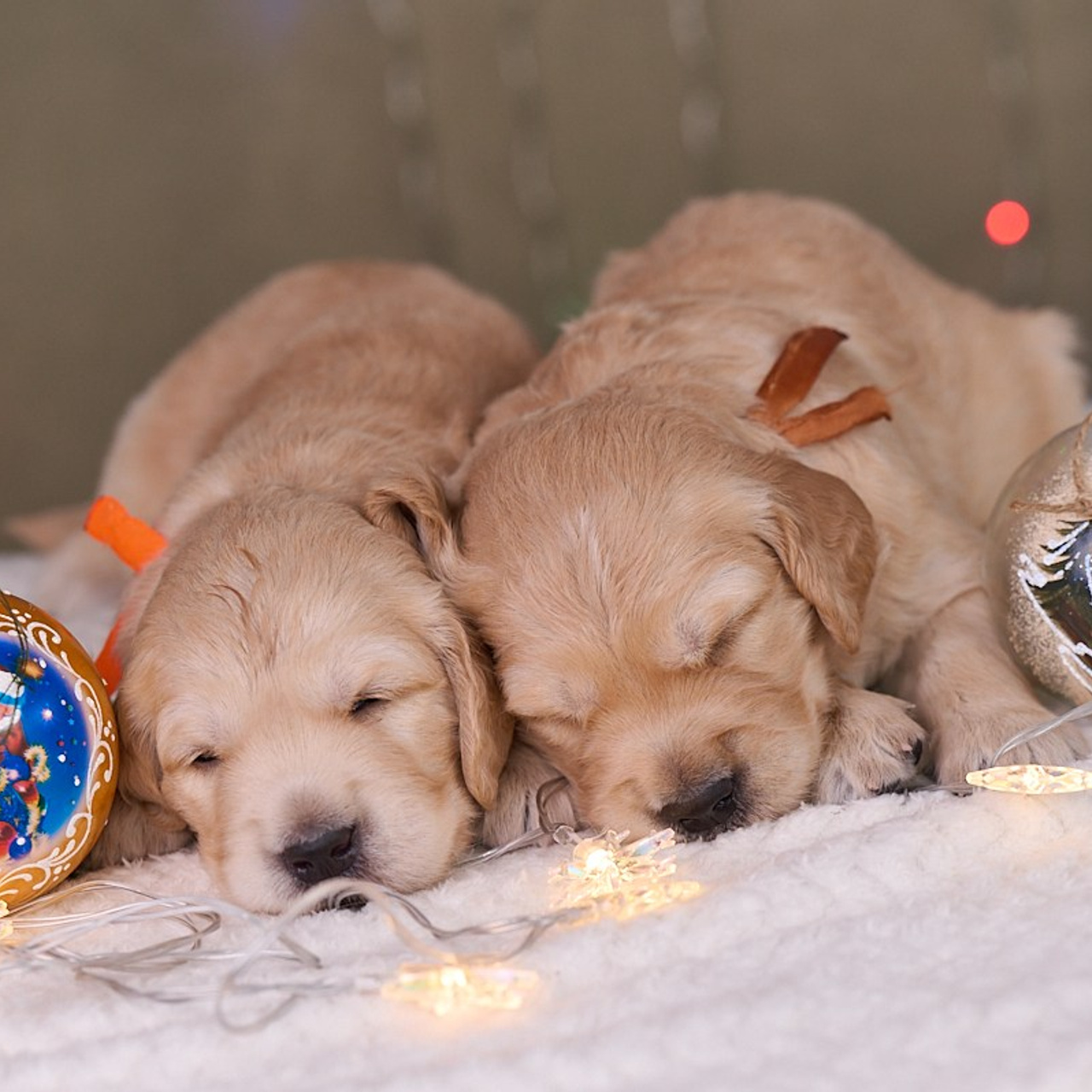 Отзывы. Фотограф в Екатеринбурге