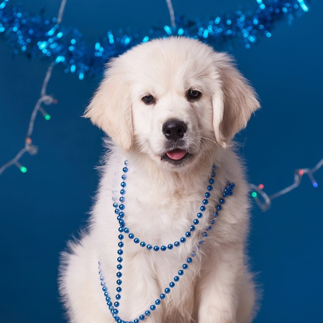 Отзывы. Фотограф в Екатеринбурге