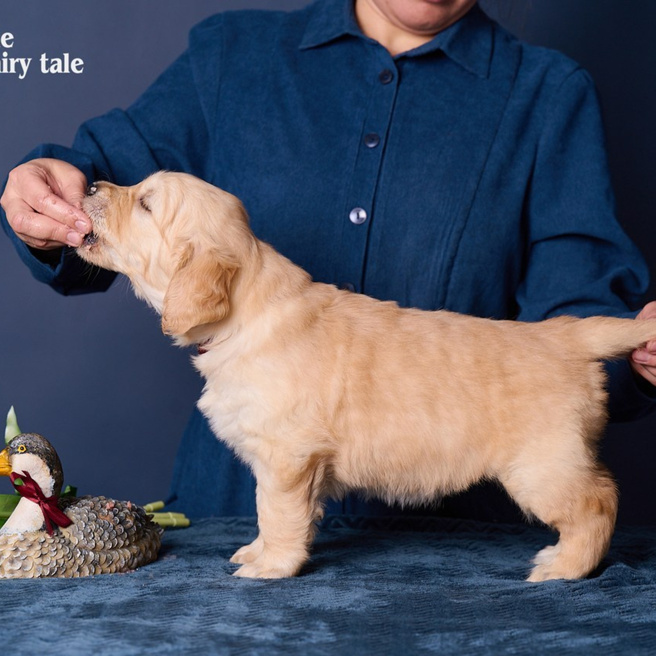 Отзывы. Фотограф в Екатеринбурге