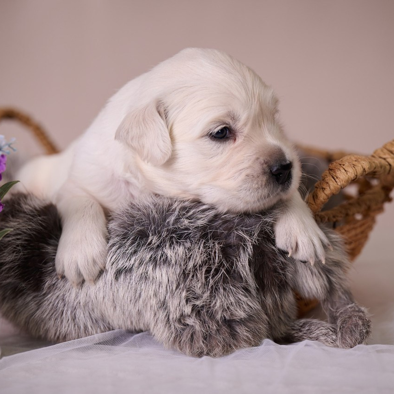 Отзывы. Фотограф в Екатеринбурге