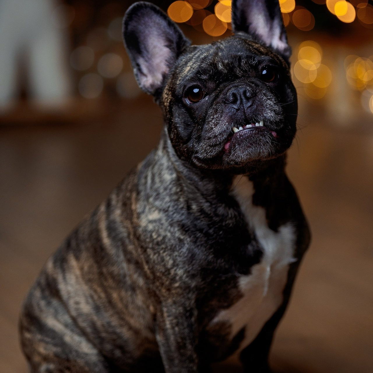 Отзывы. Фотограф в Омске