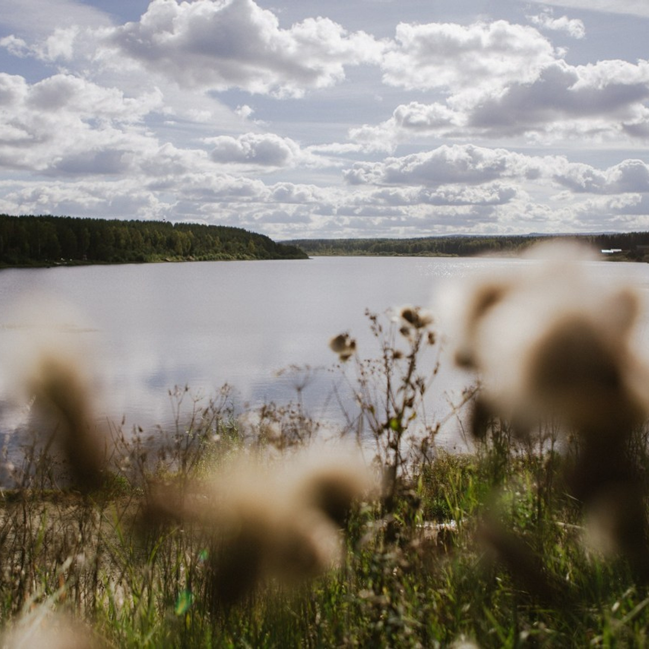 Отзывы. Видеограф в Екатеринбурге Дмитрий Шемякин
