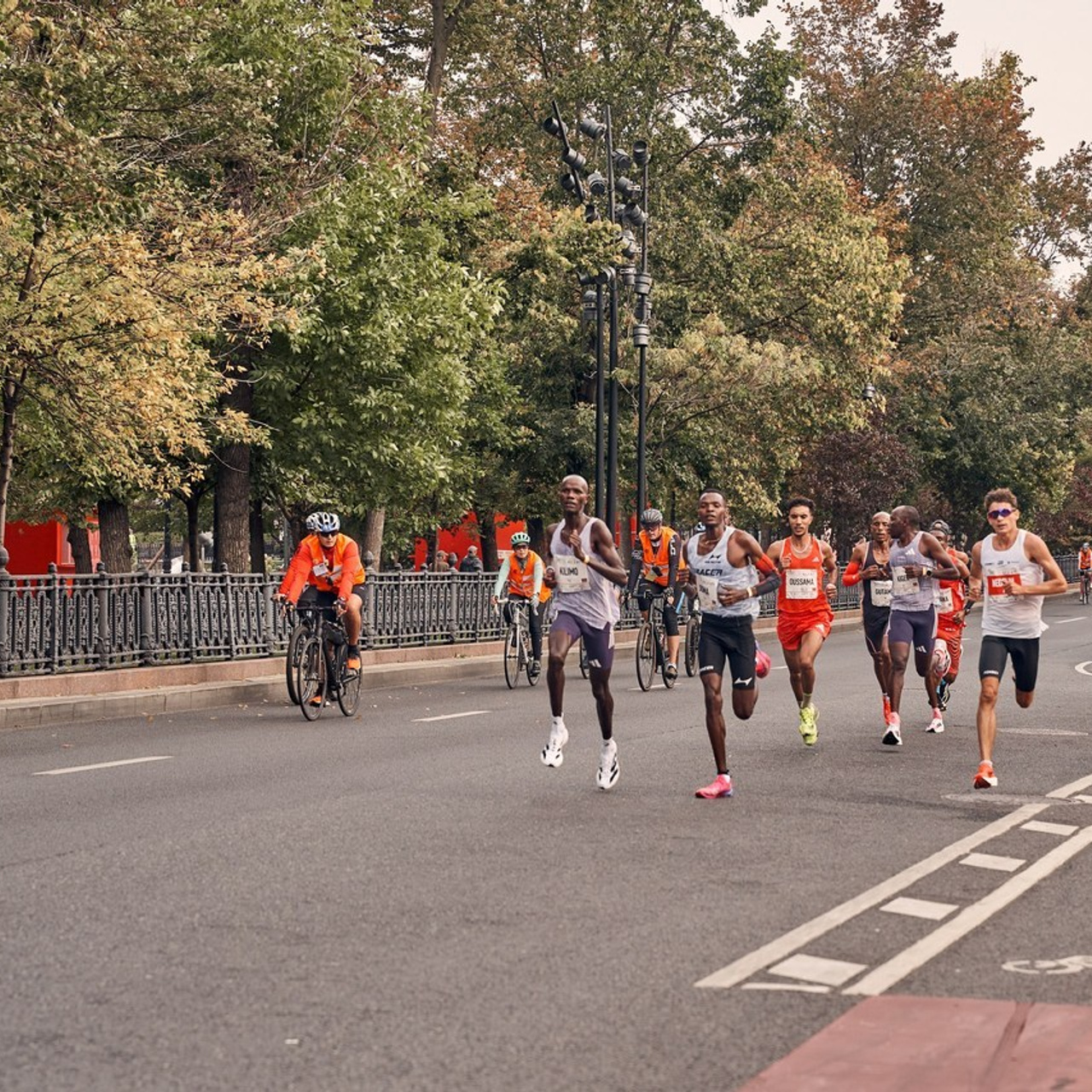 Отзывы. Ольга Олейник Фотография — это жизнь