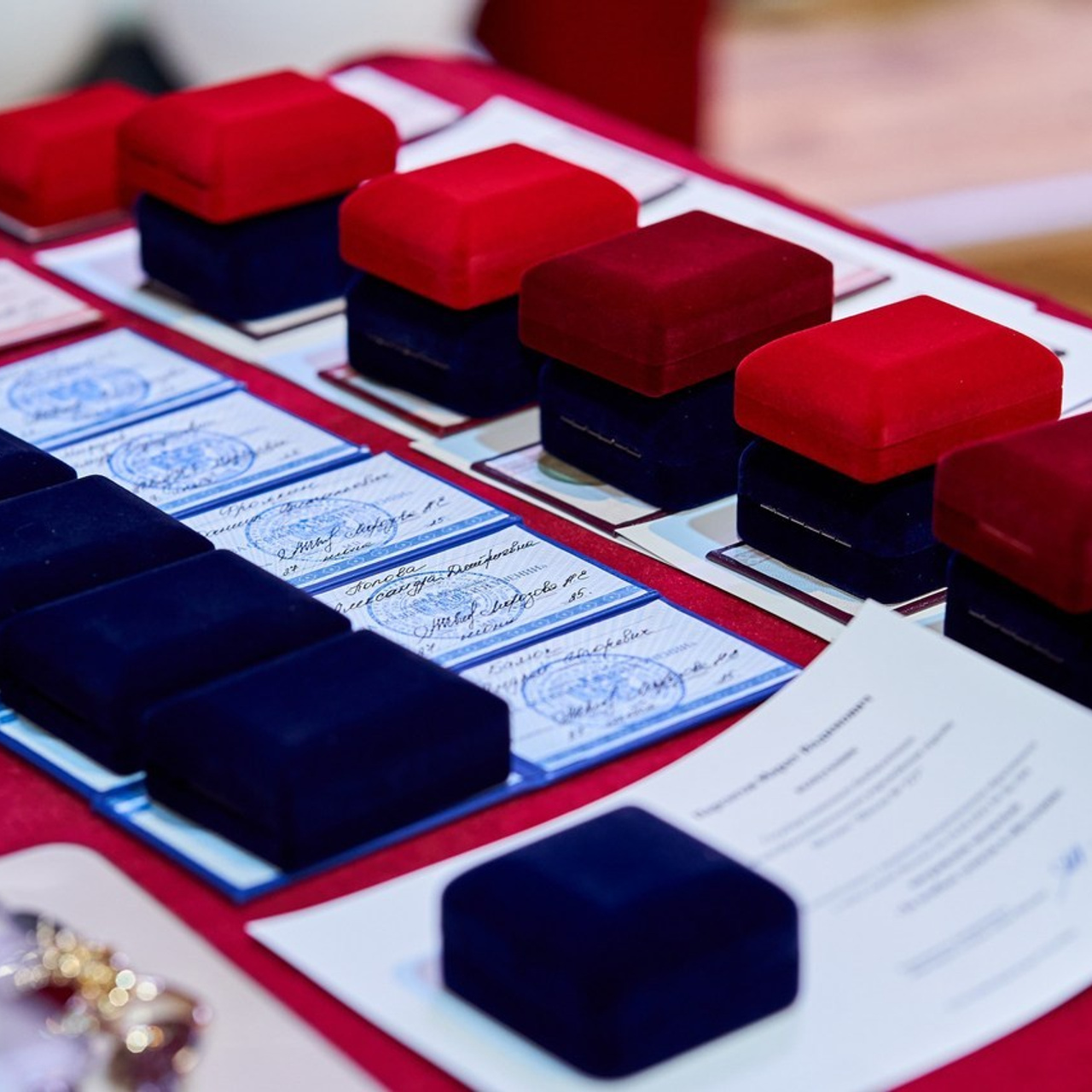 Отзывы. Ольга Олейник Фотография — это жизнь