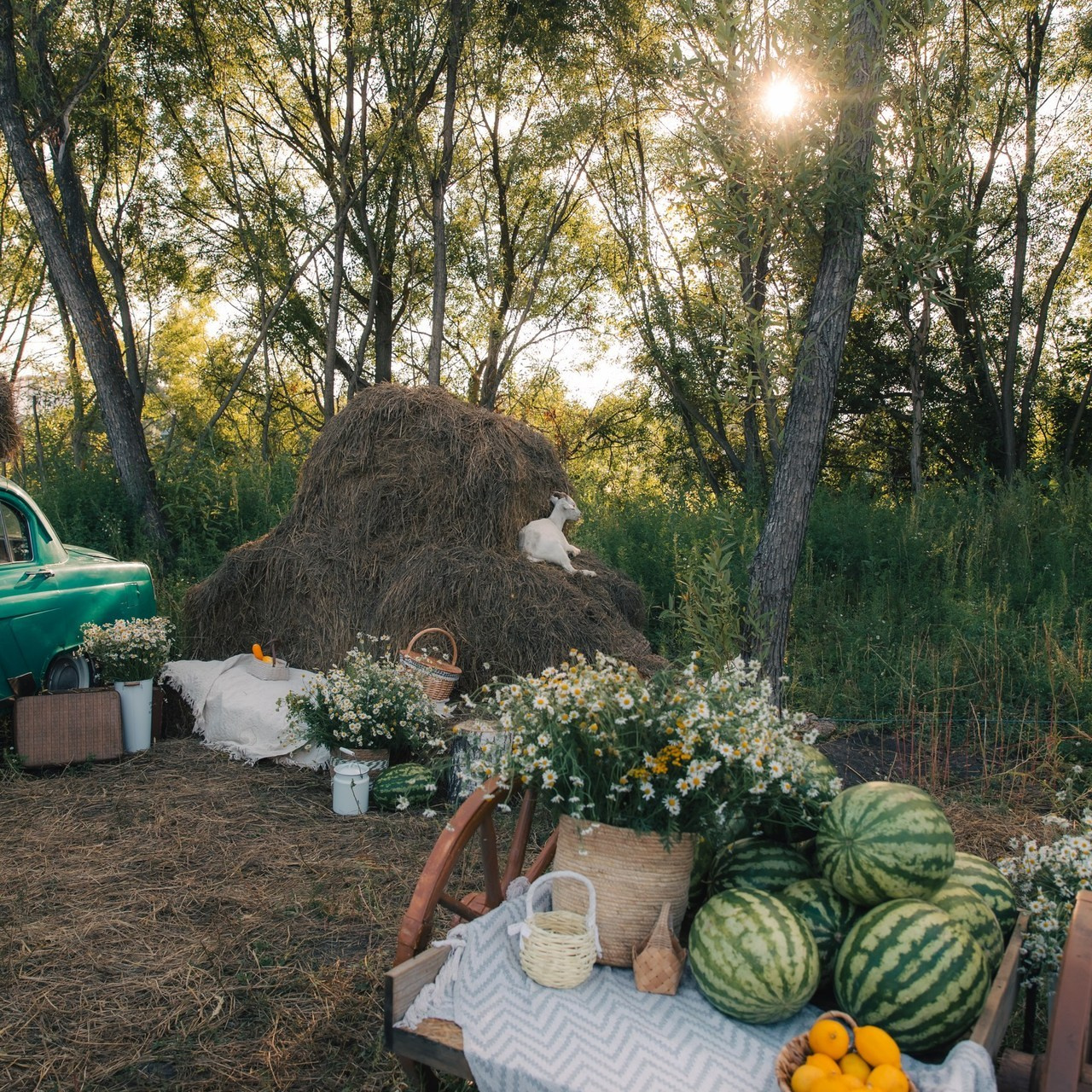 Отзывы. Семейный фотограф документалист в Пензе Лопатинская Татья