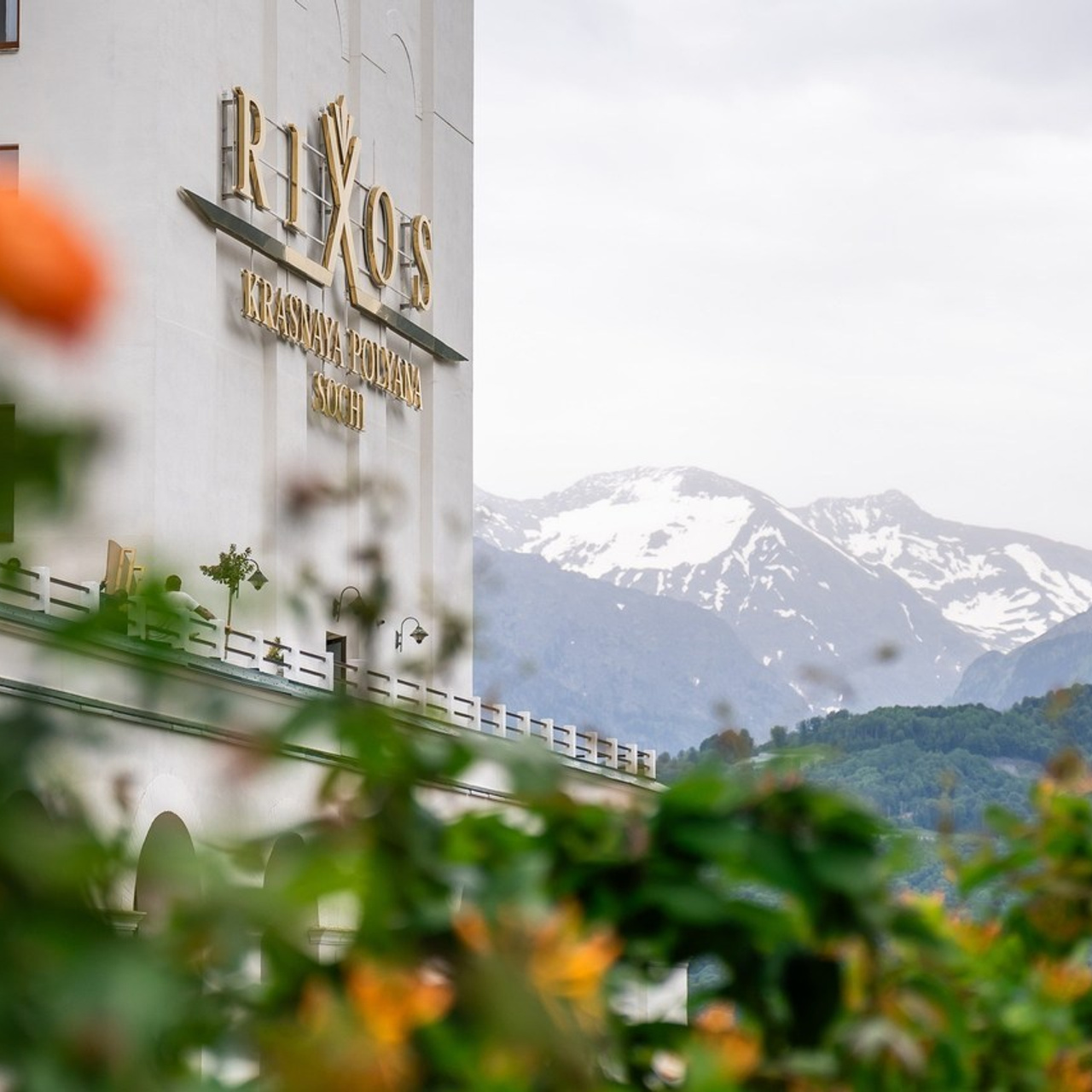 Отзывы. Репортажный фотограф | Роза Хутор Красная Поляна Сочи Сириус