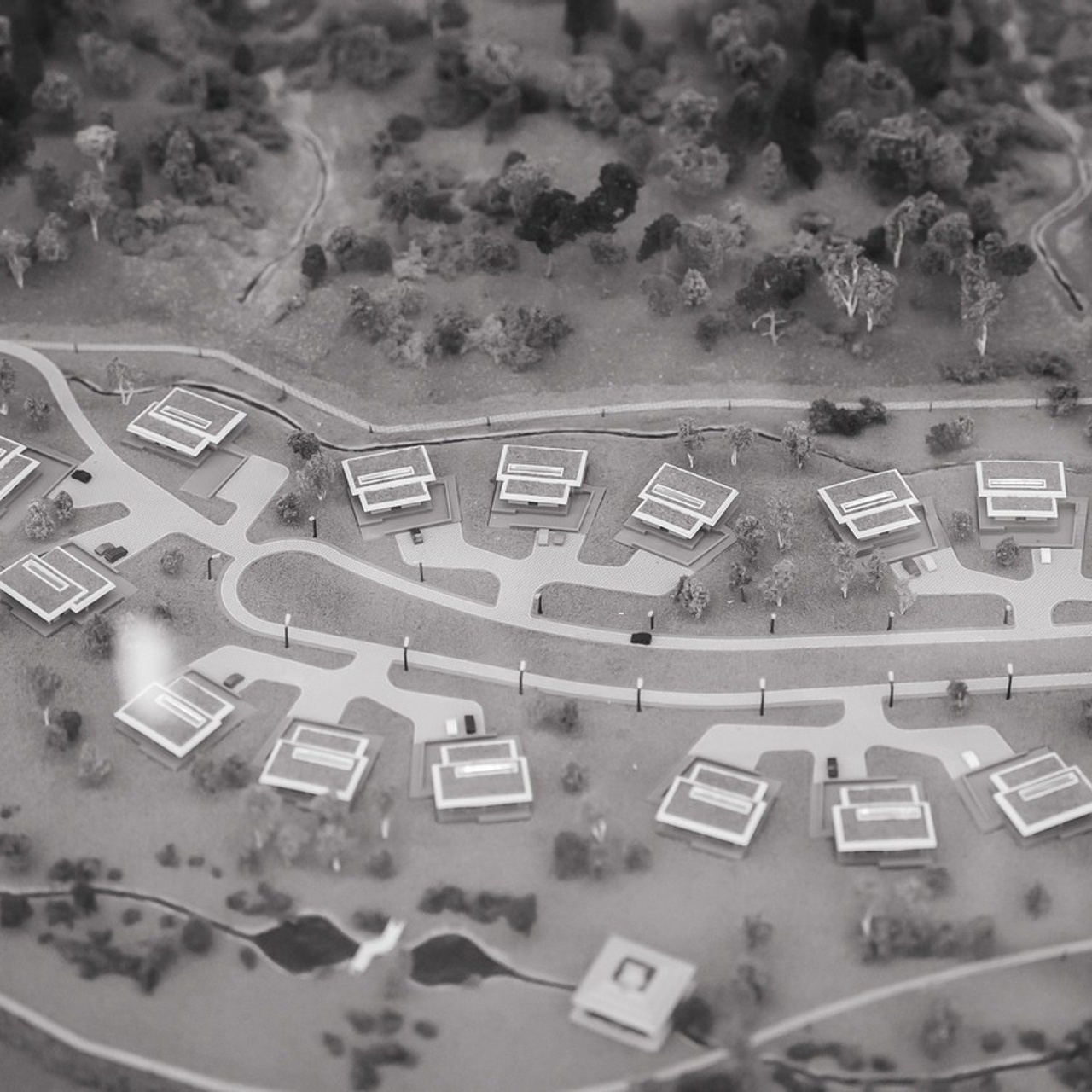 Отзывы. Репортажный фотограф | Роза Хутор Красная Поляна Сочи Сириус