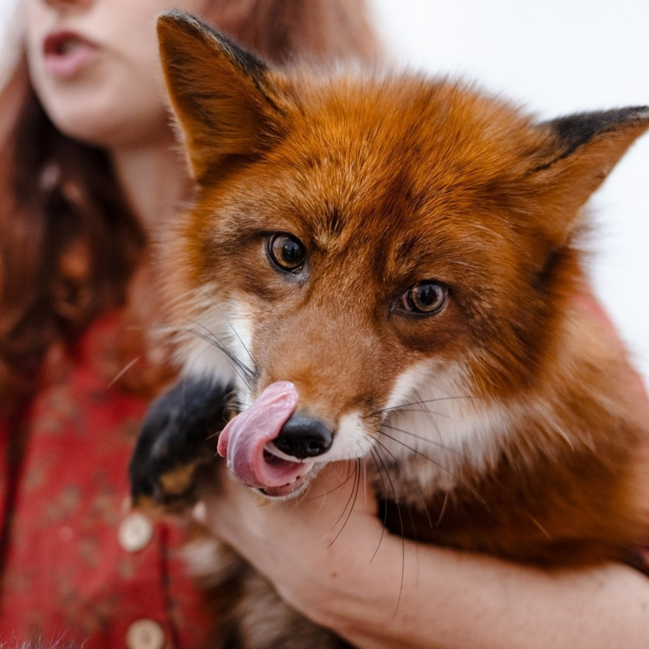 Отзывы. Портретный и репортажный фотограф в Санкт-Петербурге Дарья Сибирякова