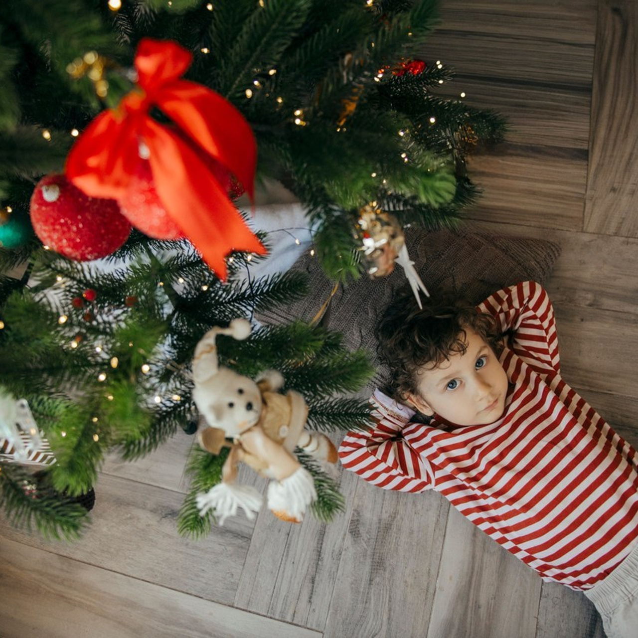 Отзывы. Свадебный и семейный фотограф Алиса Полякова |Старый Оскол | Воронеж