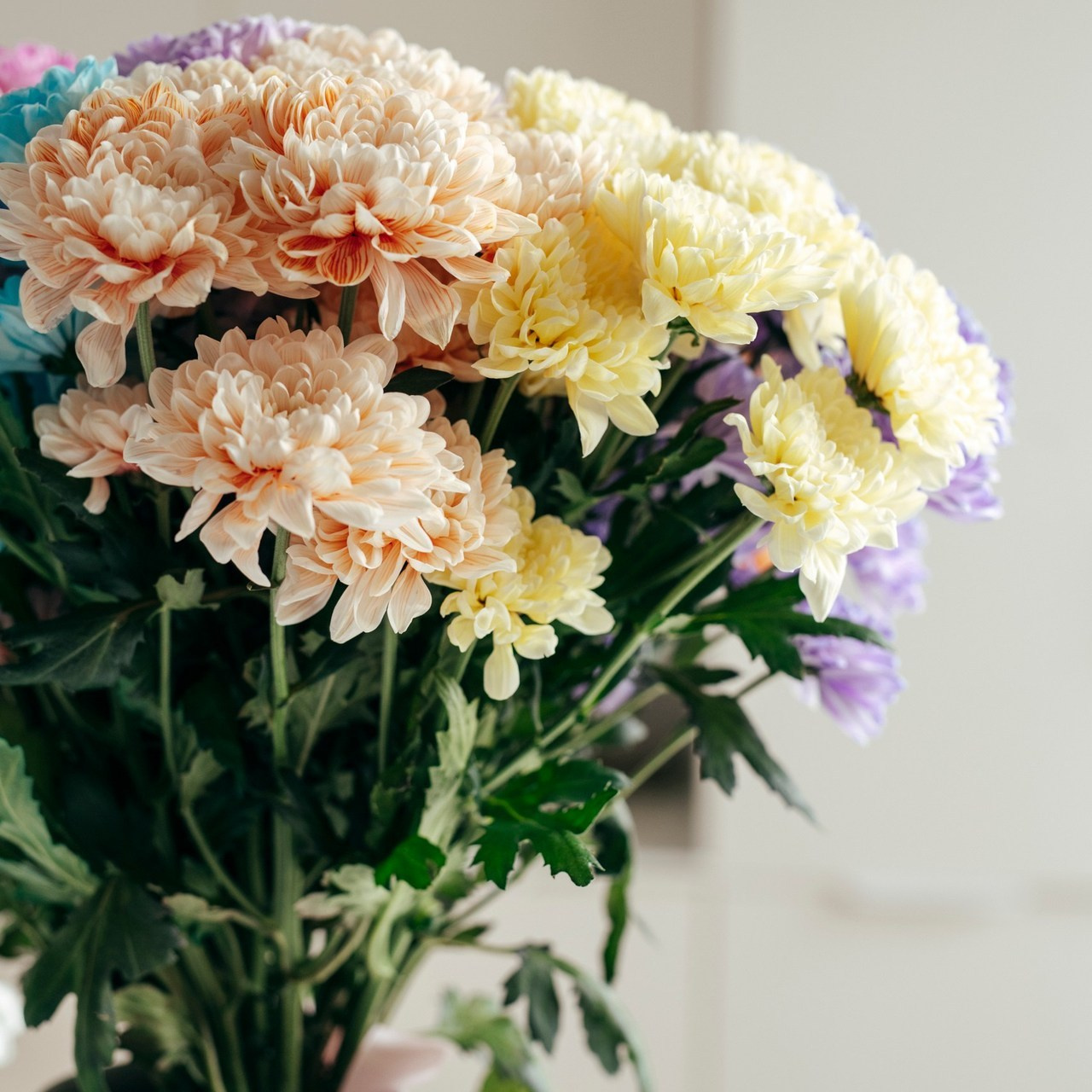 Отзывы. Свадебный и семейный фотограф Алиса Полякова |Старый Оскол | Воронеж