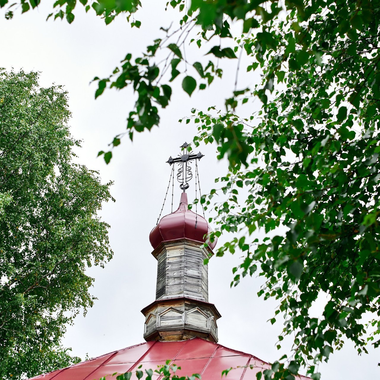 Отзывы. Budanovaphoto.ru