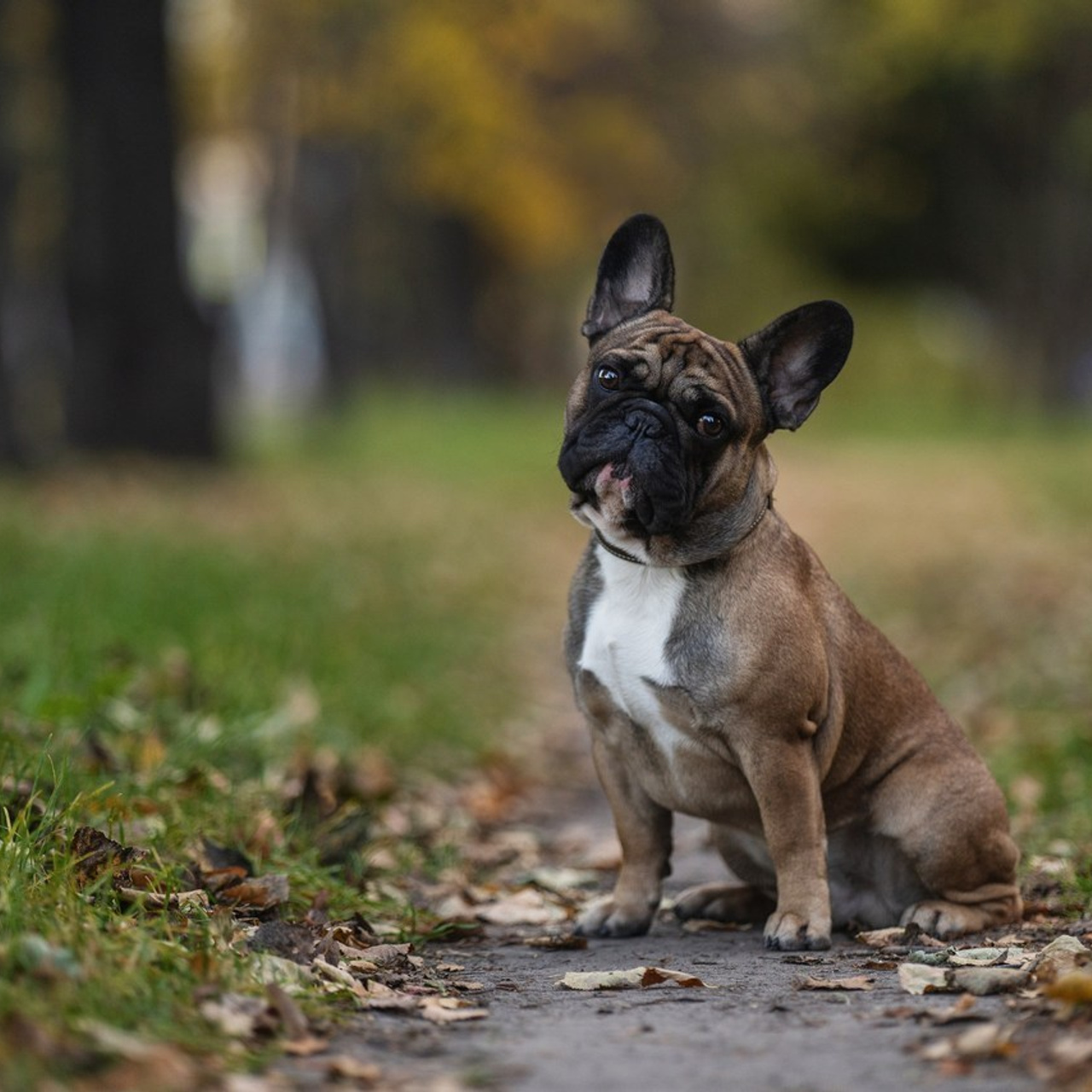 Отзывы. Kameramotor74